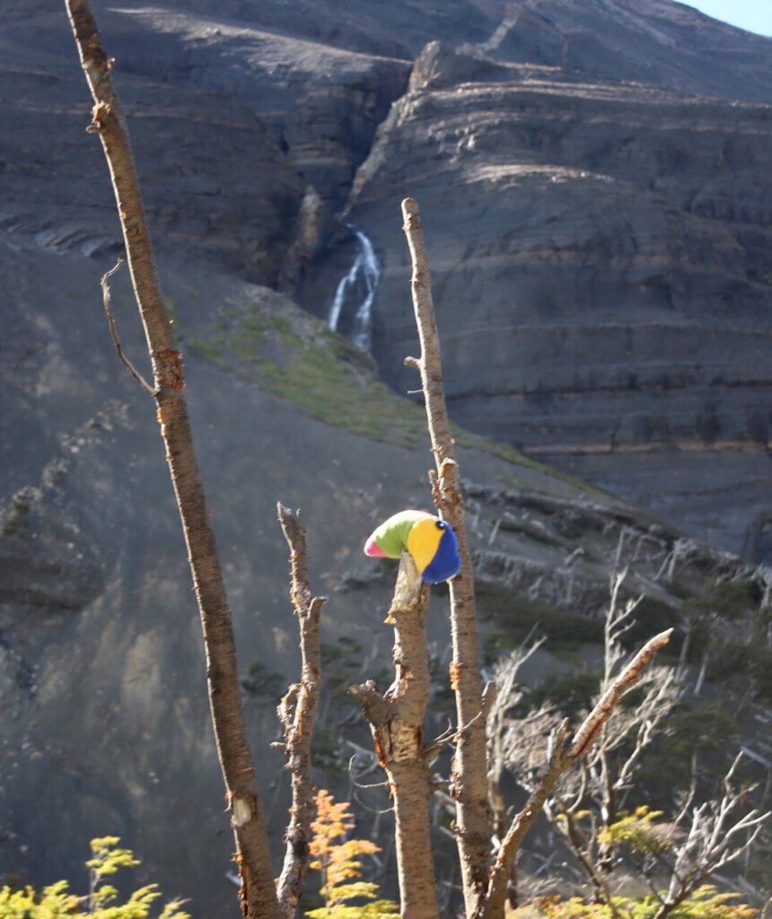 wanderurlaub-chile-patagonien-torres-del-paine-trekkingurlaub