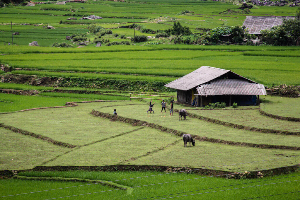 vietnam-reisehighlights-nordvietnam-rundreise-individualreise-reiseberatung-reiseorga-organisation