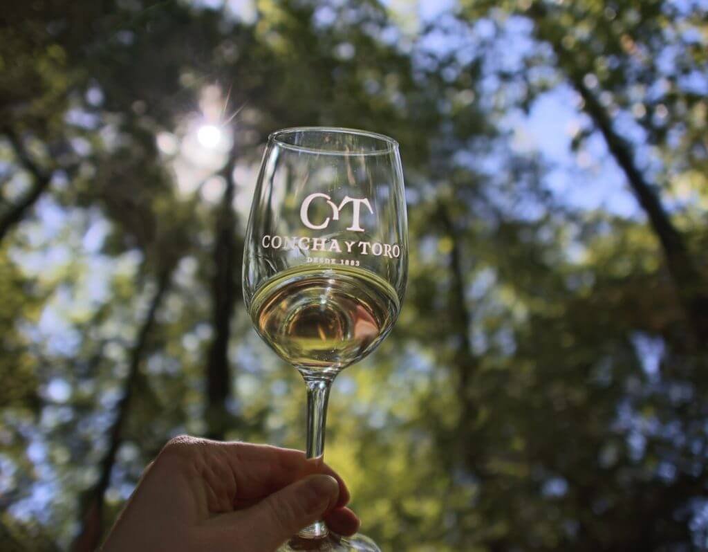 weinprobe-roadtrip-wanderurlaub-chile-region-satiago-genussreise-auto-selbstfahrerreise-fahrspass-reisespezialist-wein-auskunft