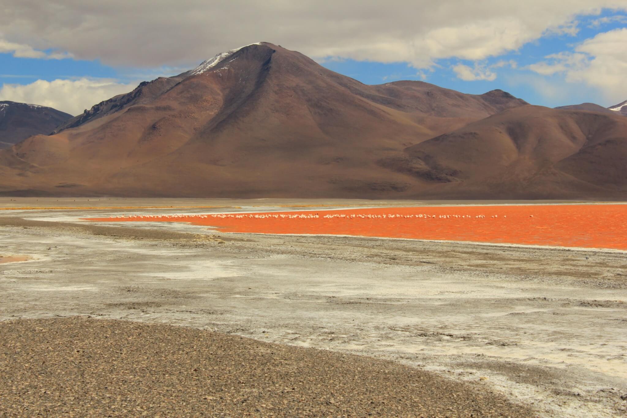 bolivien-chile-peru-rundreise-buchen-hochland-lagunen-altiplano-suedamerika