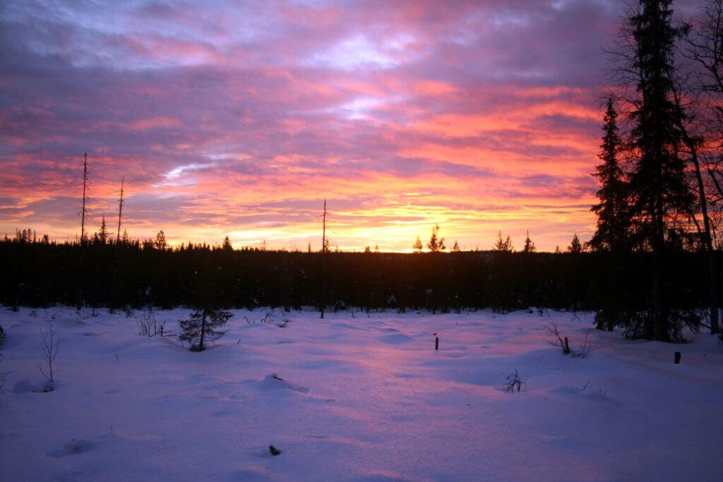lappland-im-winter-mit hundeschlitten-reise-abendliche-stimmung