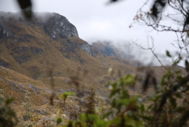 anden-cajas-cuenca-reiseblog-reisebüro-urlaubsprofi-gut-reisen-sicher durch-südamerika