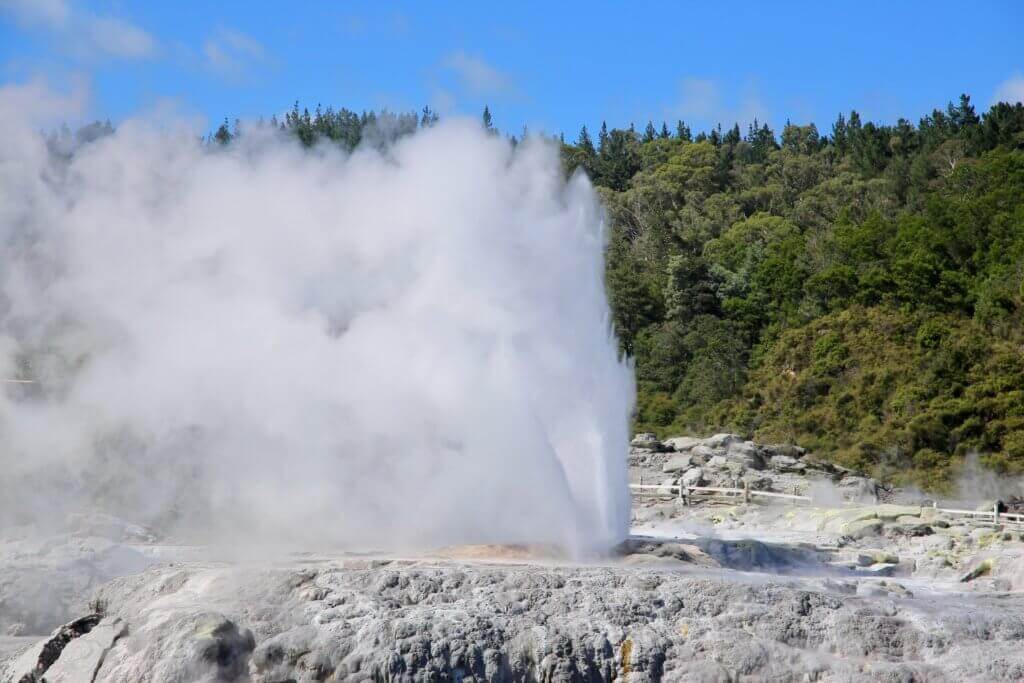 geysir-neuseeland-rundreise-reisebüro-erfahrungsbericht-rundreise-sicher-urlaub-machen-nordinsel