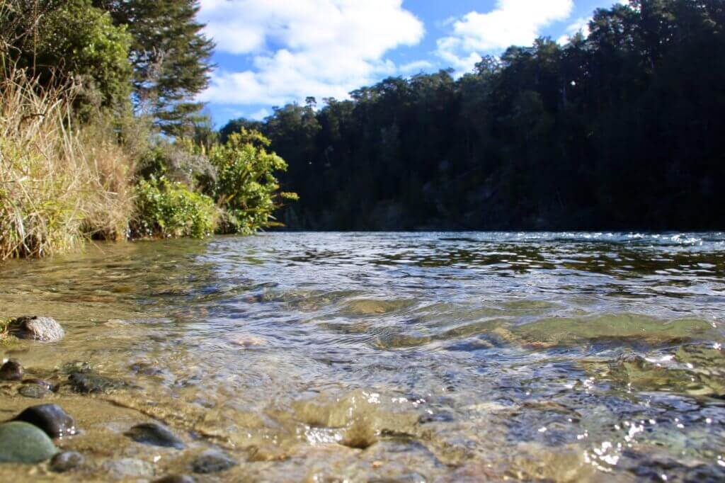 waiau-river-angeln-outdoor-neuseeland-wassersport-highlight-reisebericht-blog-reiseblog-naturspaktakel-reisebüro