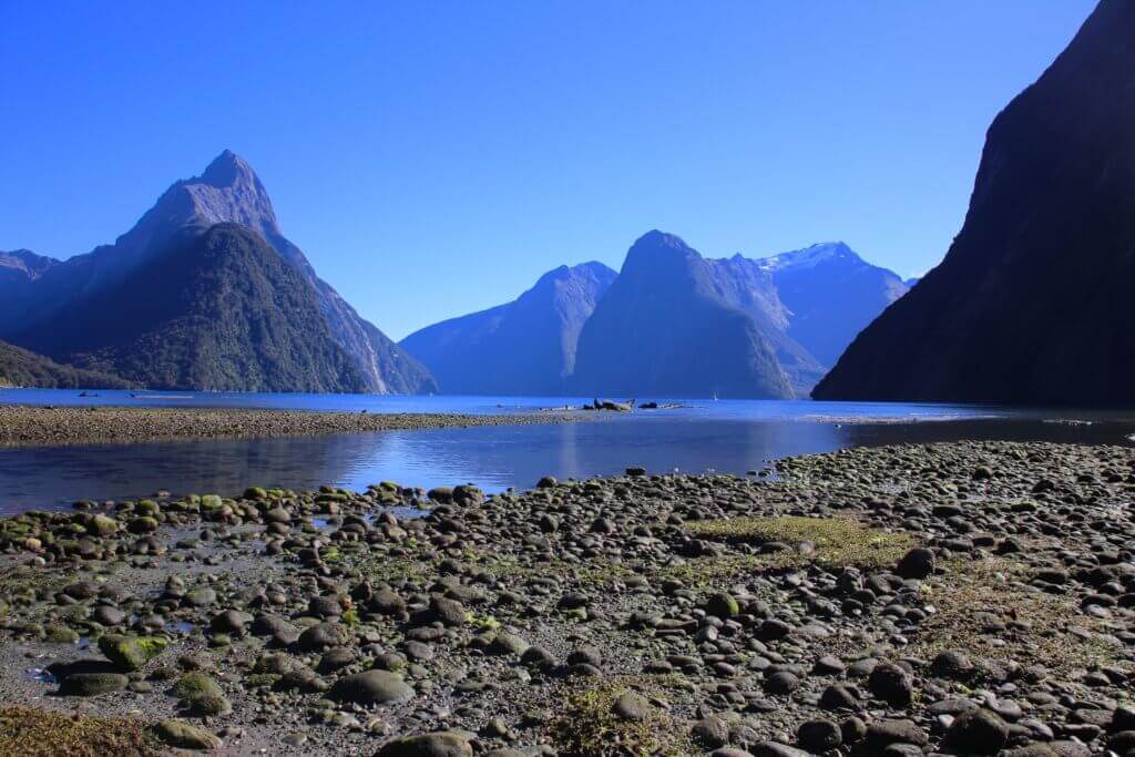milford-sound-neuseeland-ziel-naturspektakel-tagestour-tagesausflug-highlight-sehenswürdigkeit-südinsel-blog-reisebericht