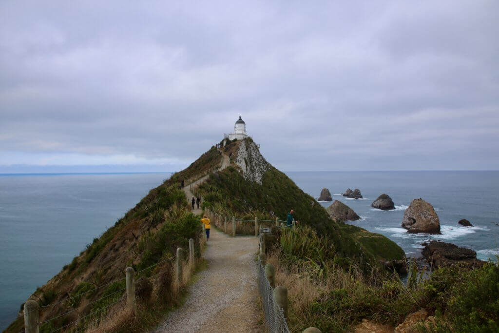 neuseeland-Nugget-Point-hot-spot-rundreise-urlaubsplaner-rundreise-reisebüro-perönliche-betreuung-beratung