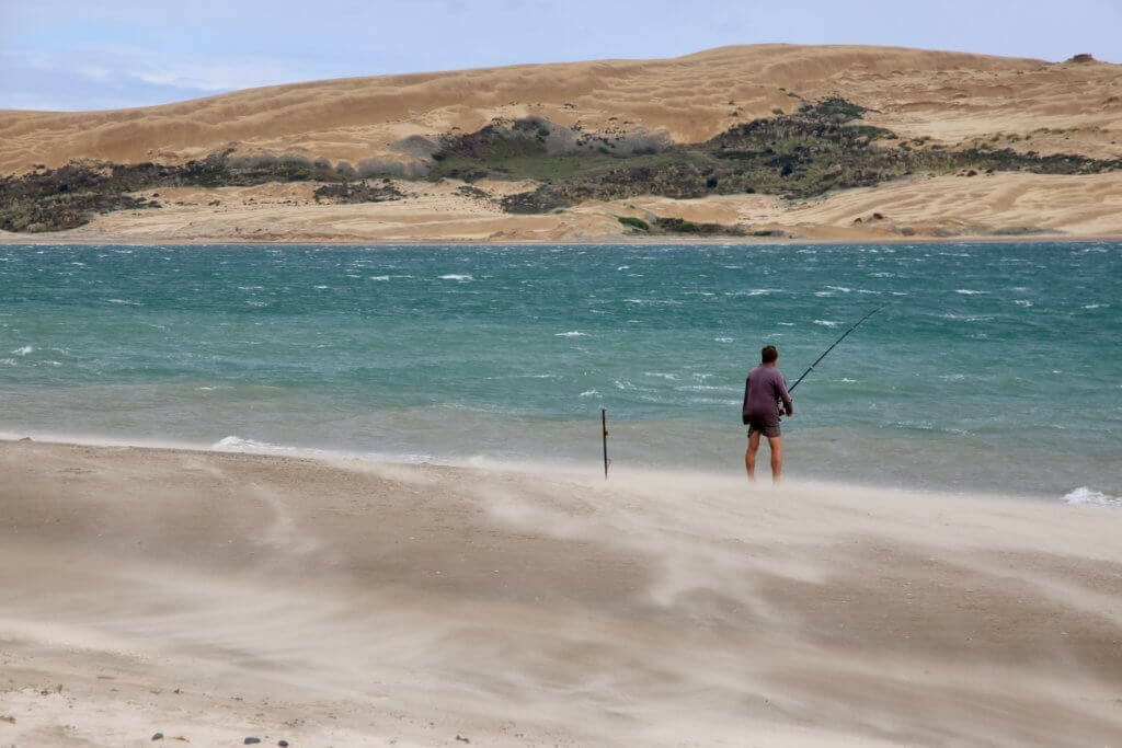 rundreise-neuseeland-reiseberatung-reisebüro-vor-ort-hilfe-reiseprofi