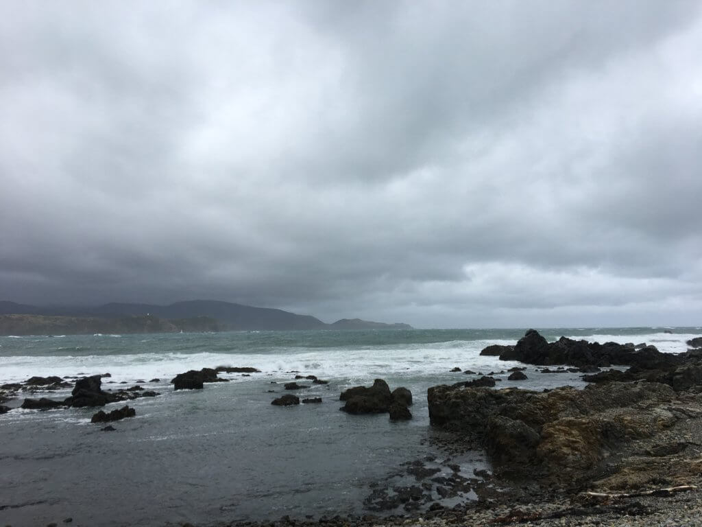 wellington-umgebung-neuseeland-nordinsel-rundreise-stadtrundgang-reiseberatung-sicher-reisen-urlaub-neuseelandspezialist