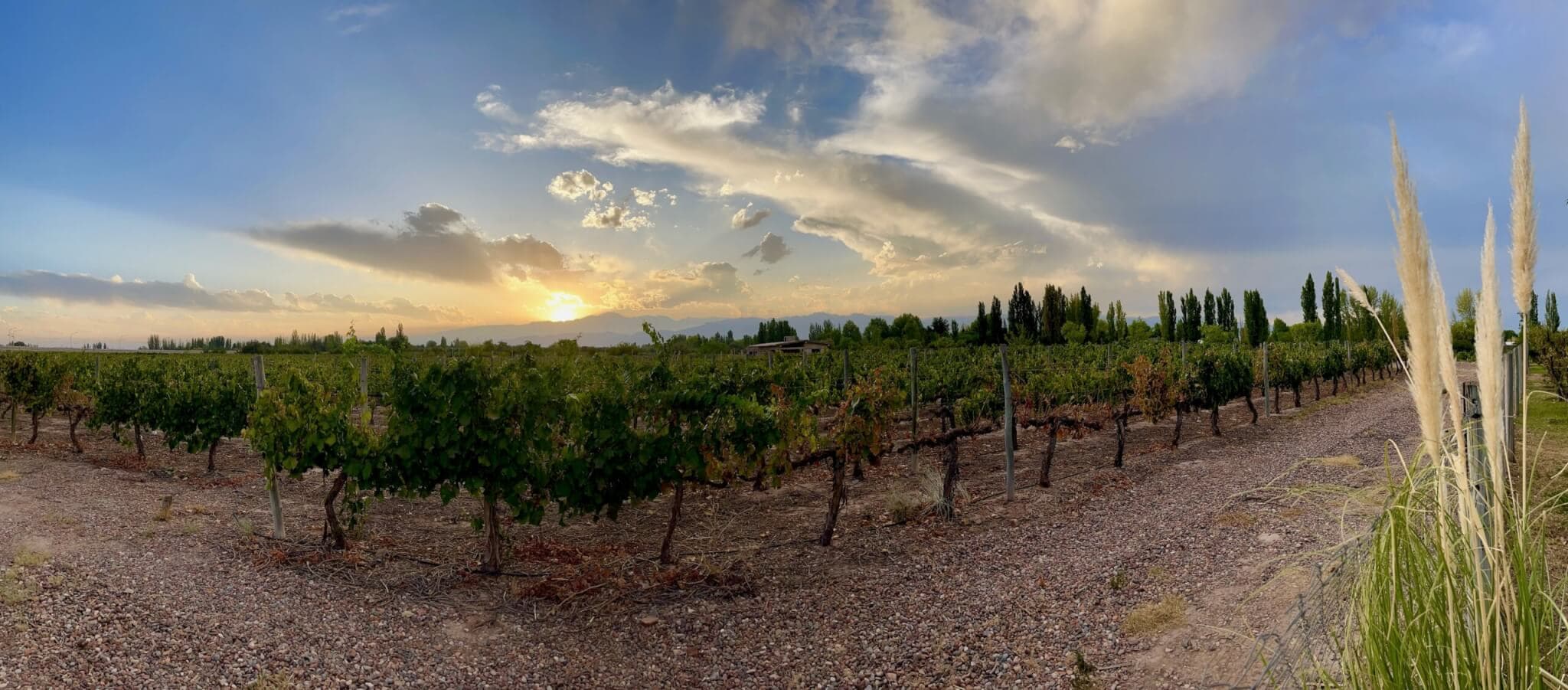 urlaub-planen-mendoza-argentinien-rundreise