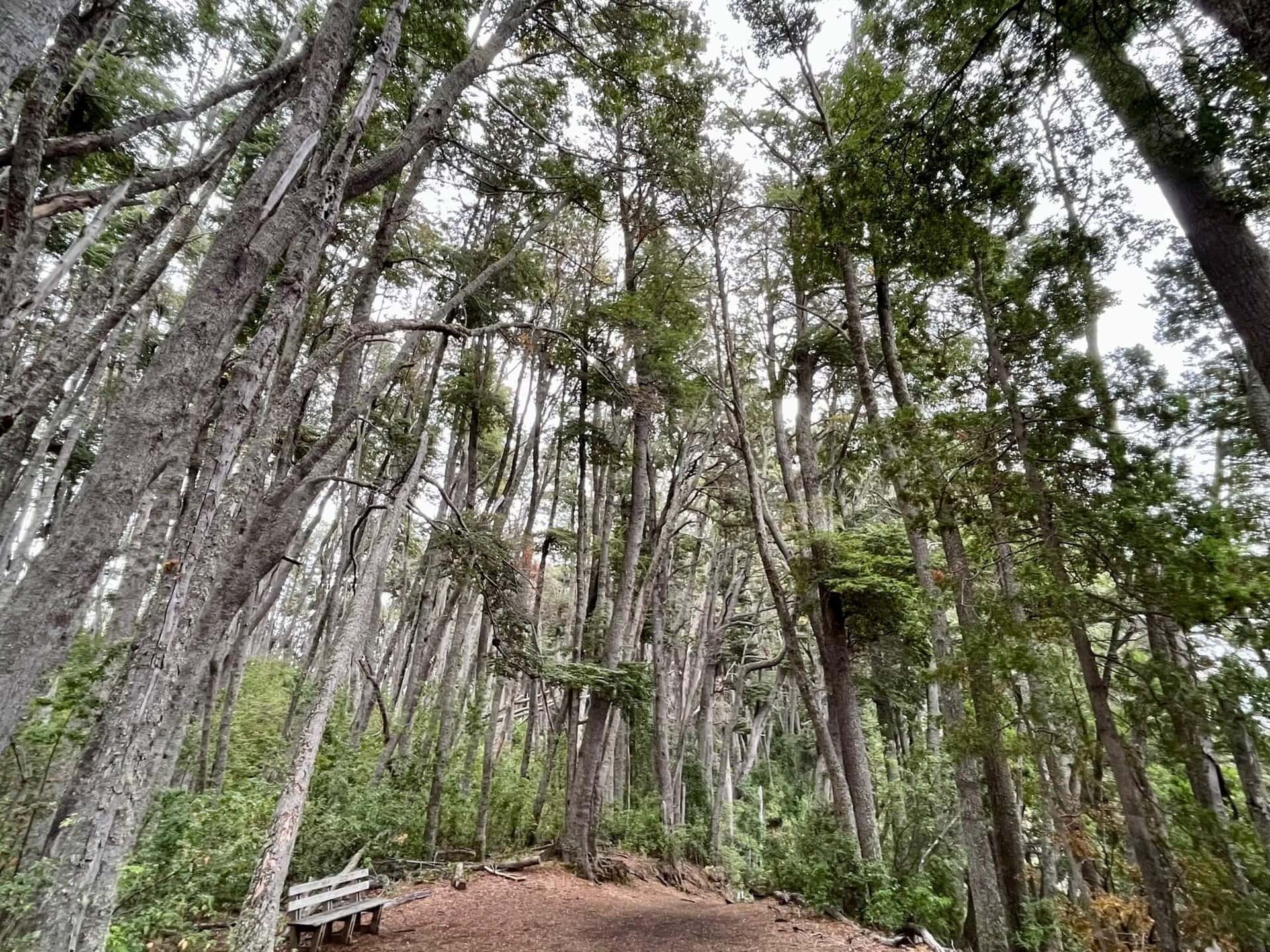 argentinien-aktiv-reisen-bariloche