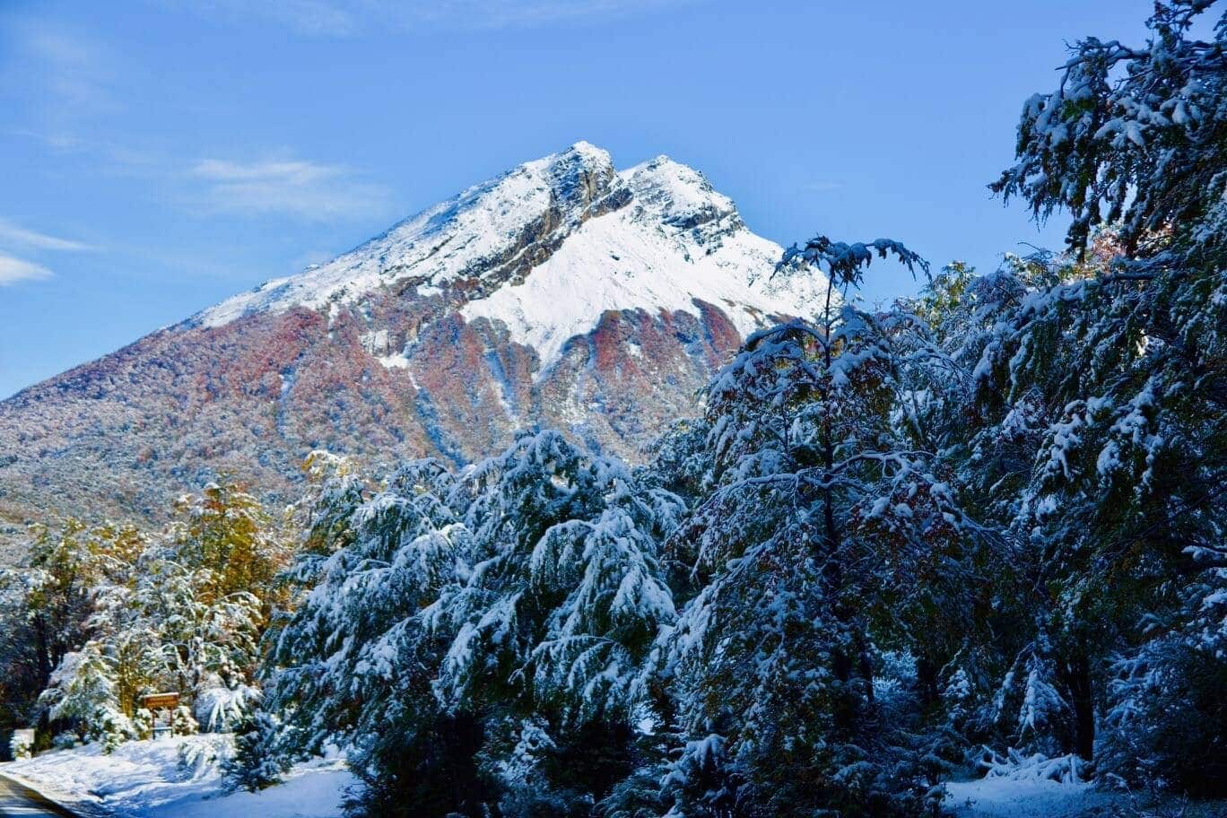 reiseblog-feuerland-reise-argentinien