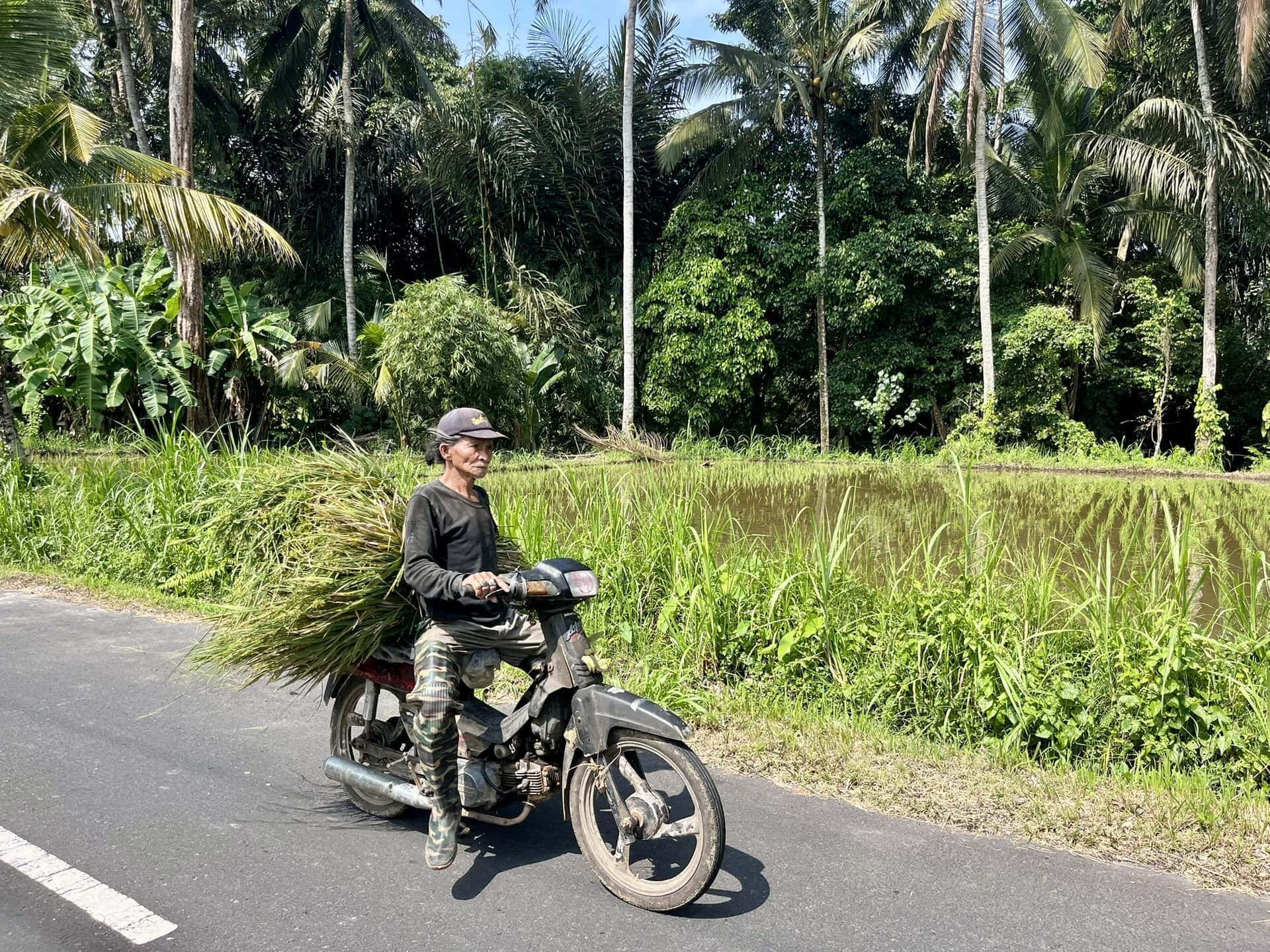 bali-indonesien-urlaub-norden-nordwesten-insel-sonne-strand-meer-anbau-motorrad-reiseblog