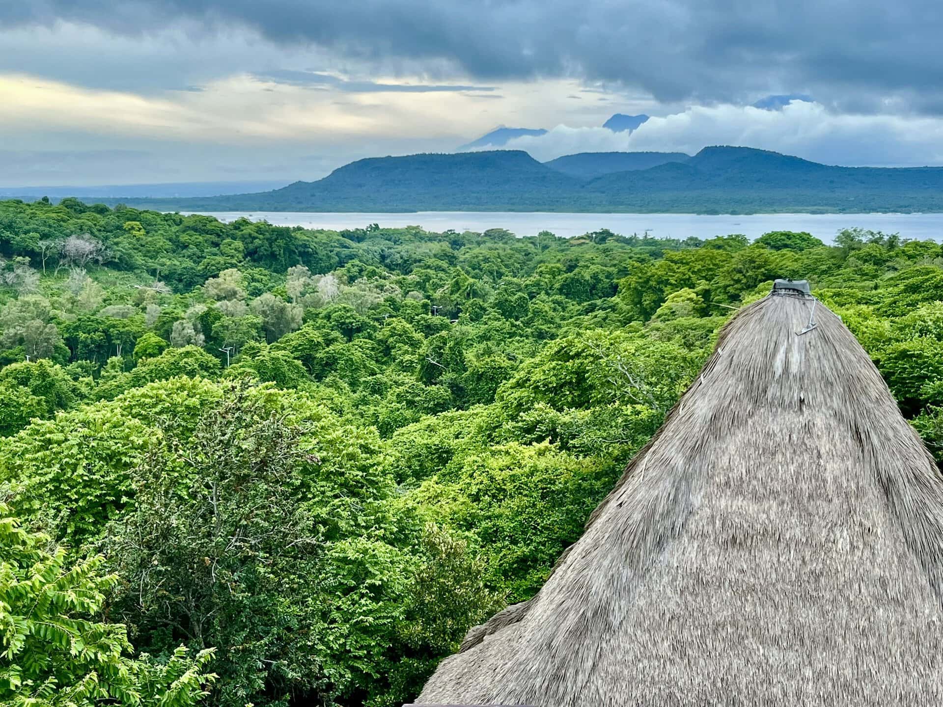 bali-indonesien-urlaub-norden-nordwesten-insel-sonne-strand-meer-aussicht-auf-wald-und-berge-reiseblog