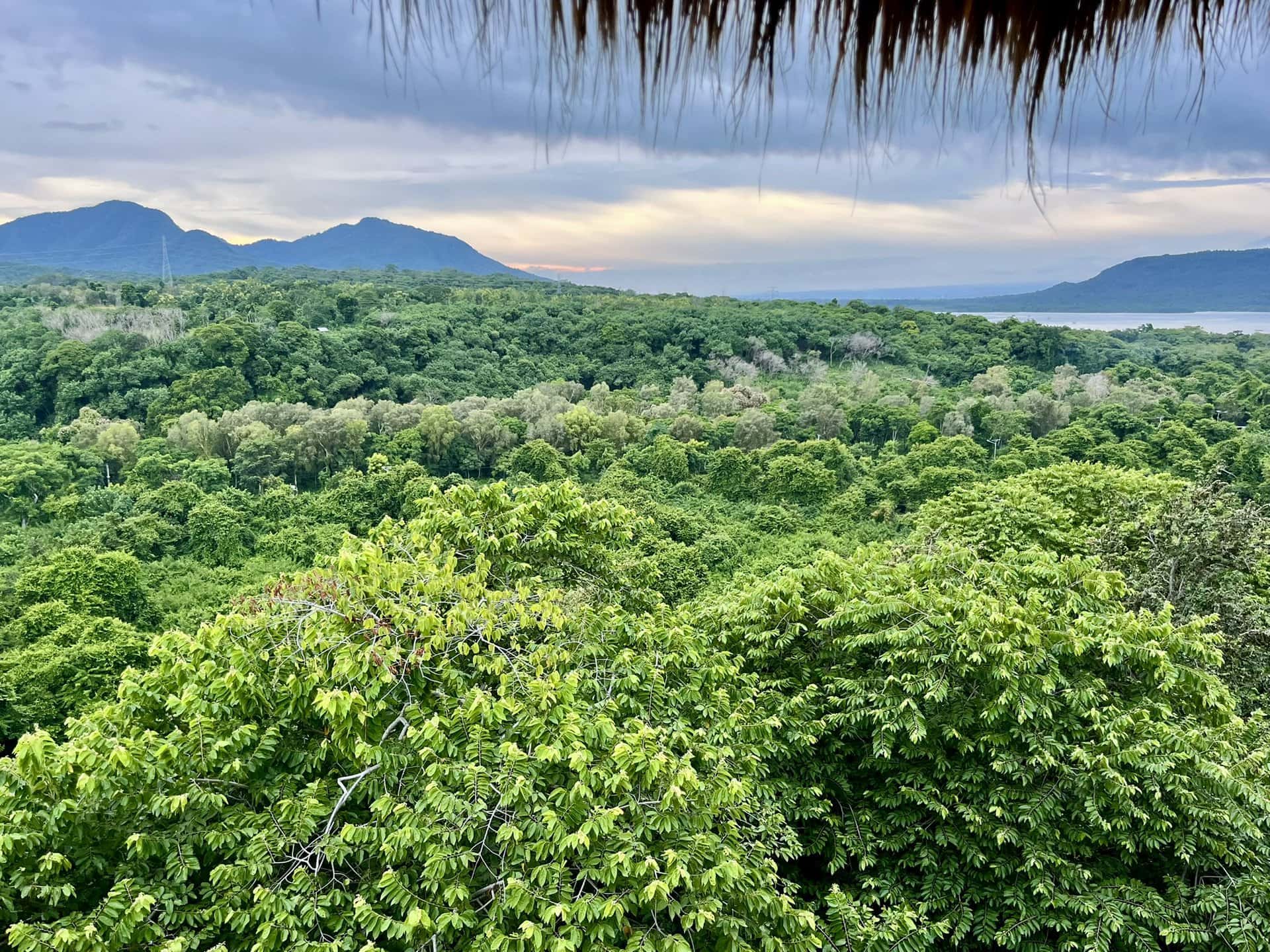 bali-indonesien-urlaub-norden-nordwesten-insel-sonne-strand-meer-aussicht-auf-wald-reiseblog