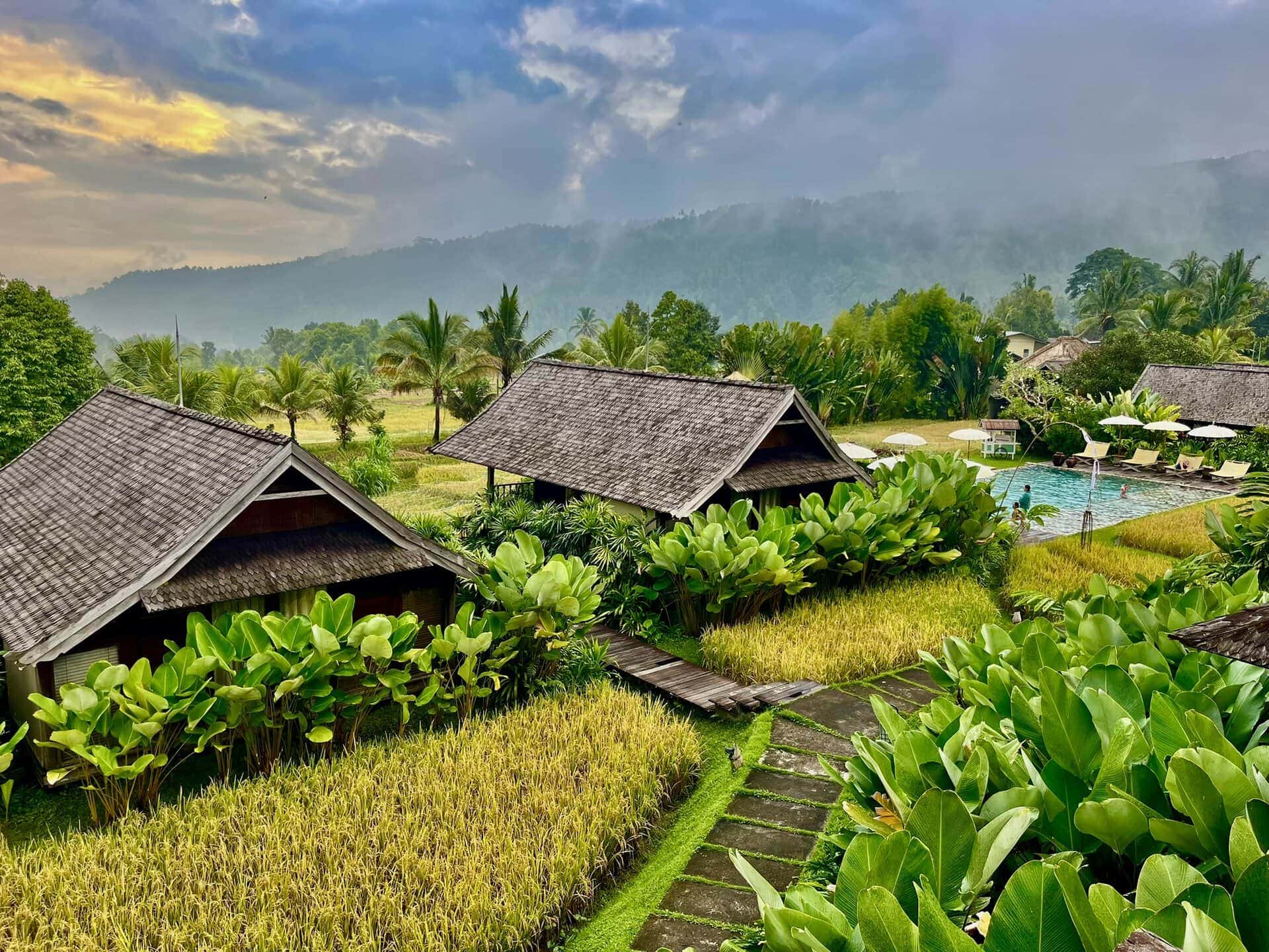 bali-indonesien-urlaub-norden-nordwesten-insel-sonne-strand-meer-aussicht-balkon-schoene-landschaft-reiseblog