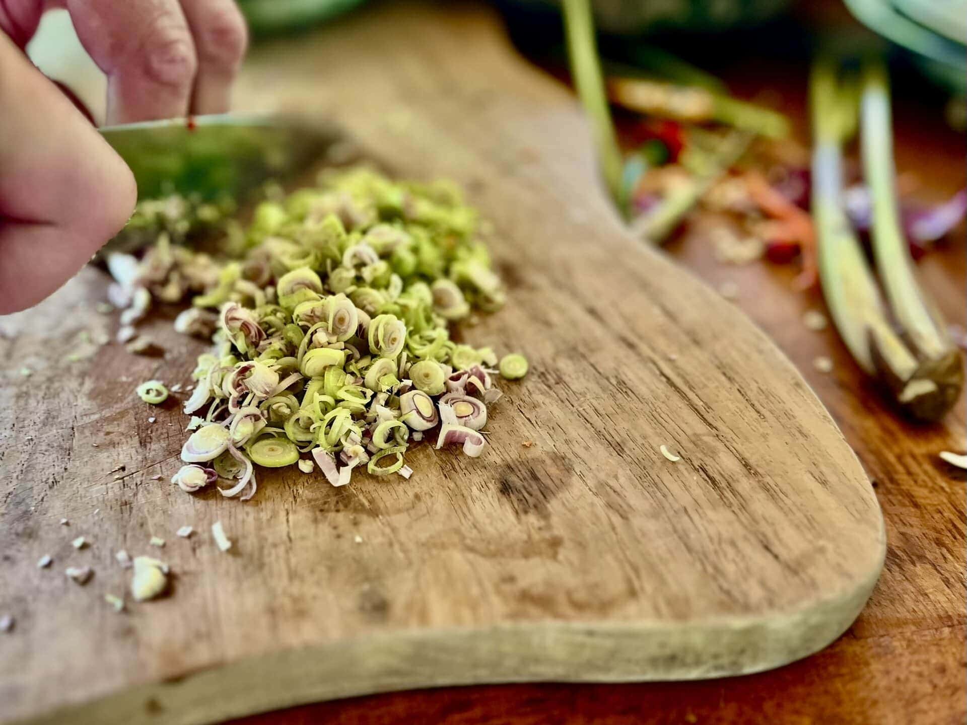 bali-indonesien-urlaub-norden-nordwesten-insel-sonne-strand-meer-kochen-zwiebeln-reiseblog