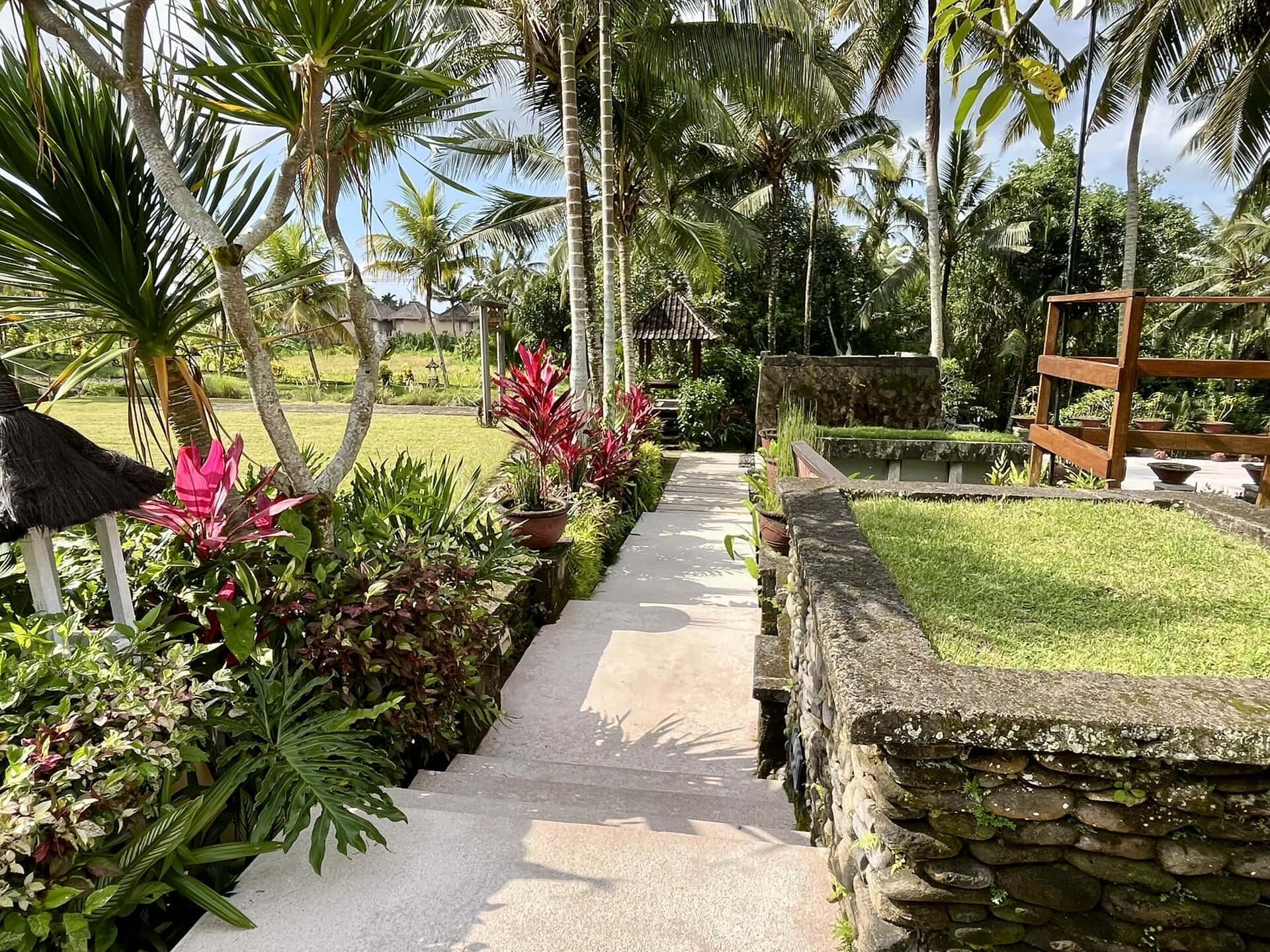 bali-indonesien-urlaub-norden-nordwesten-insel-sonne-strand-meer-landschaft-pflanzen-reiseblog