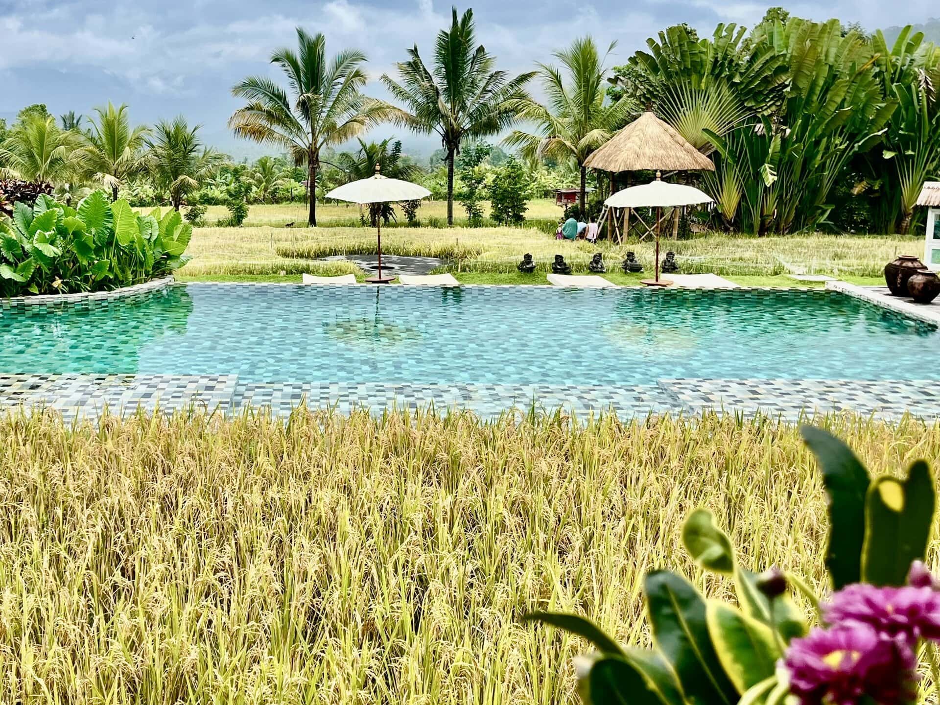 bali-indonesien-urlaub-norden-nordwesten-insel-sonne-strand-meer-lovely-poollandschaft-reiseblog