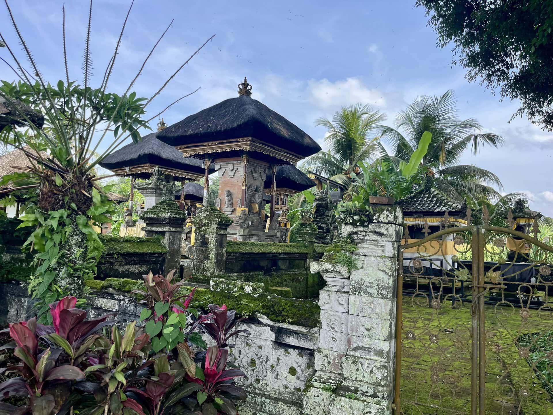 bali-indonesien-urlaub-norden-nordwesten-insel-sonne-strand-meer-moos-reiseblog