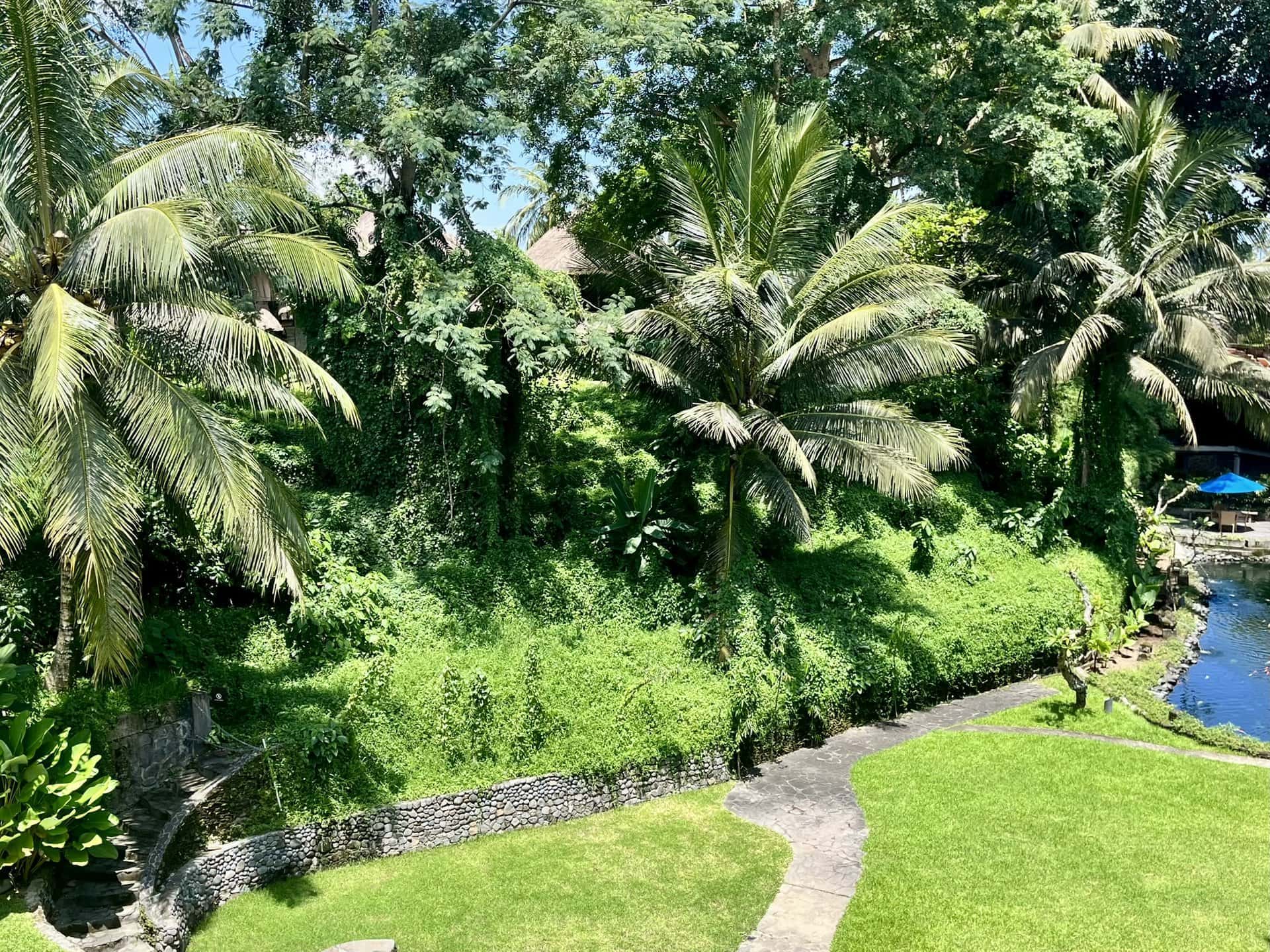 bali-indonesien-urlaub-norden-nordwesten-insel-sonne-strand-meer-palmen-hotelanlage-reiseblog