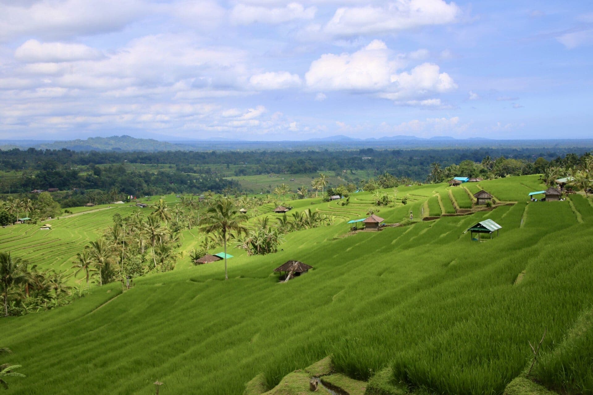 bali-indonesien-urlaub-norden-nordwesten-insel-sonne-strand-meer-reisterrassenlandschaft-reiseblog