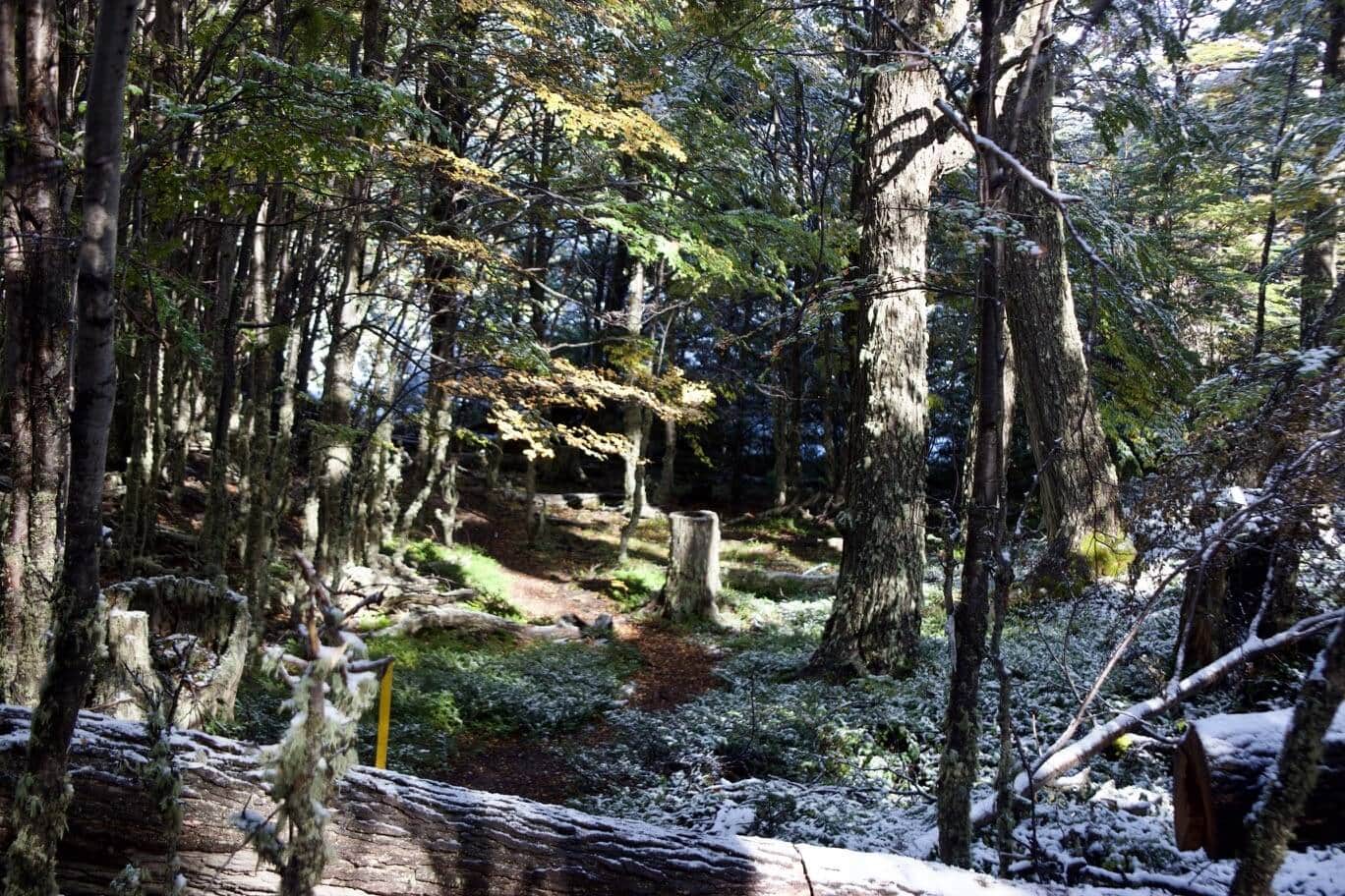 feuerland-reise-gruppe-argentinien-blog