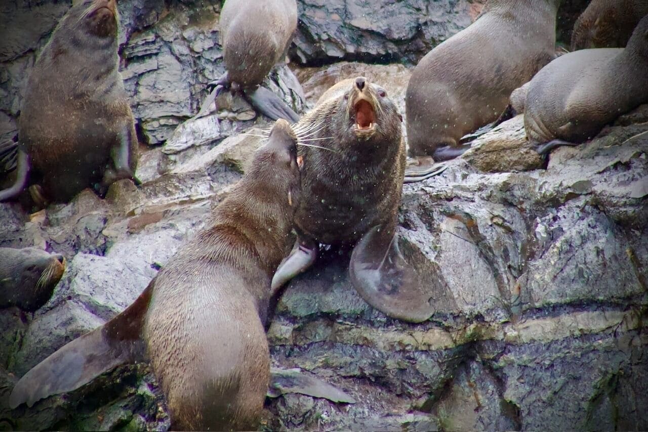 argentinien-reise-planen-sueden