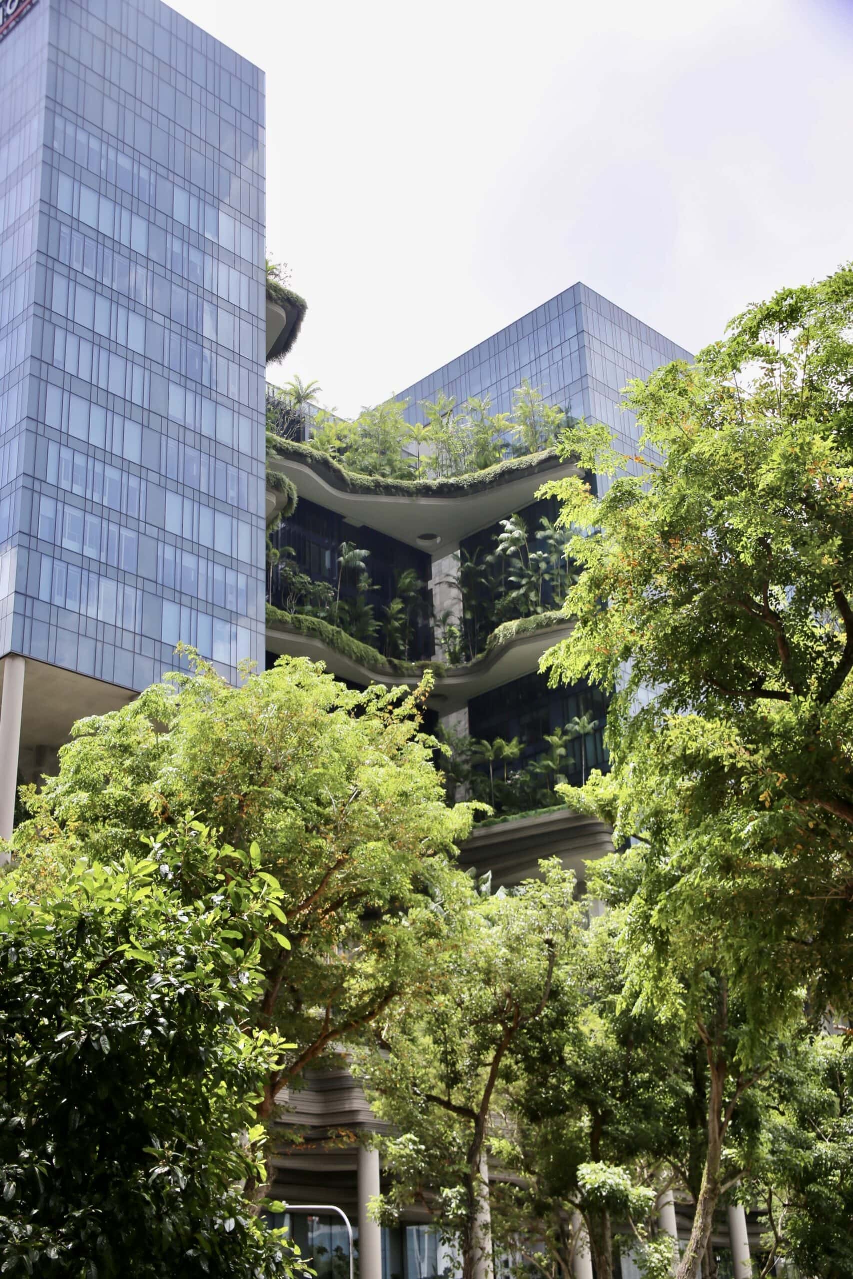 städtereise-singapur-reiseblog-indonesien-urlaub-architektur-green-building-reise