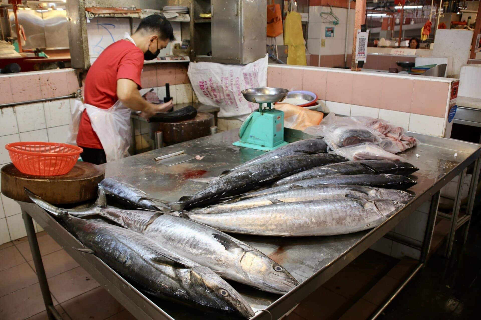 städtereise-singapur-reiseblog-indonesien-urlaub-fische-reise