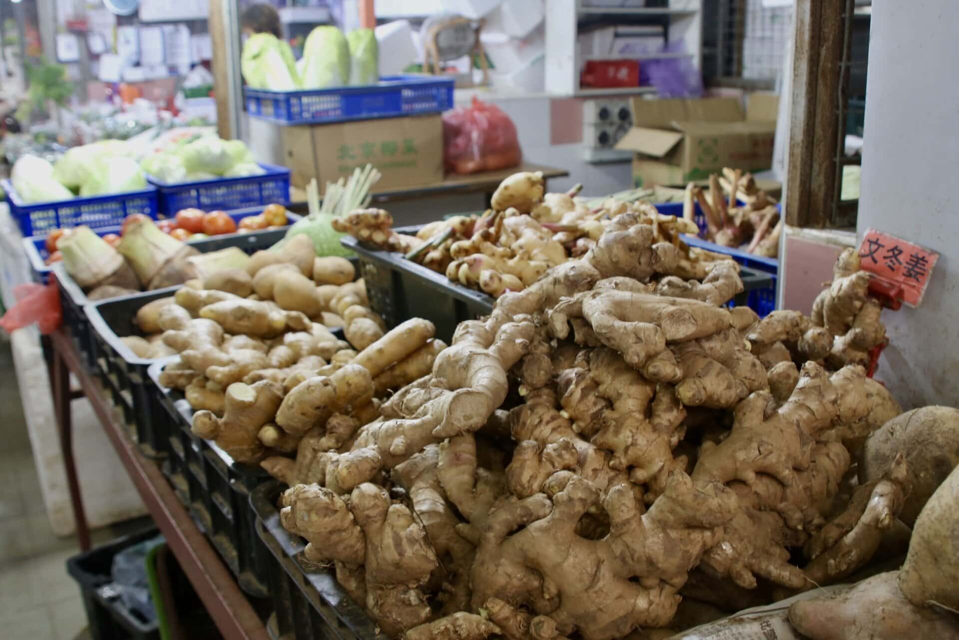 städtereise-ingapur-reiseblog-indonesien-urlaub-ingwer-reise