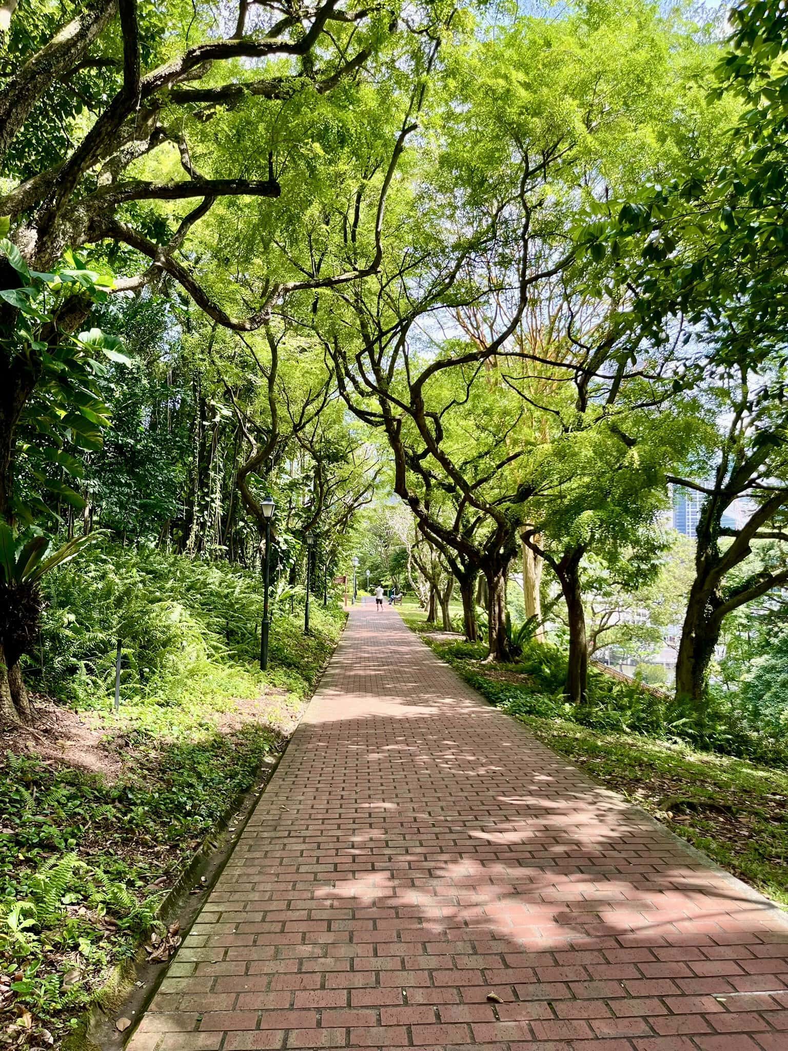 städtereise-singapur-reiseblog-indonesien-urlaub-park-reise