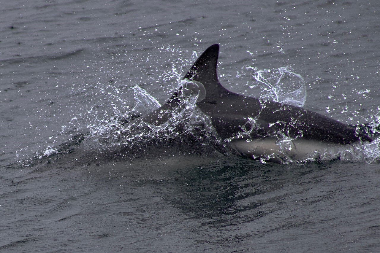 argentinien-reiseblog-ushuaia-reise-erstellen