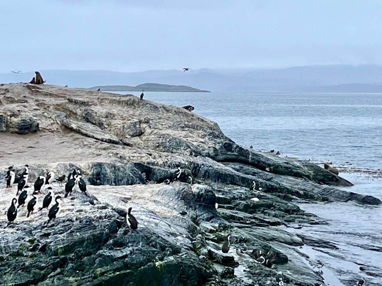 individuell-urlaub-ushuaia-beegle-kanal