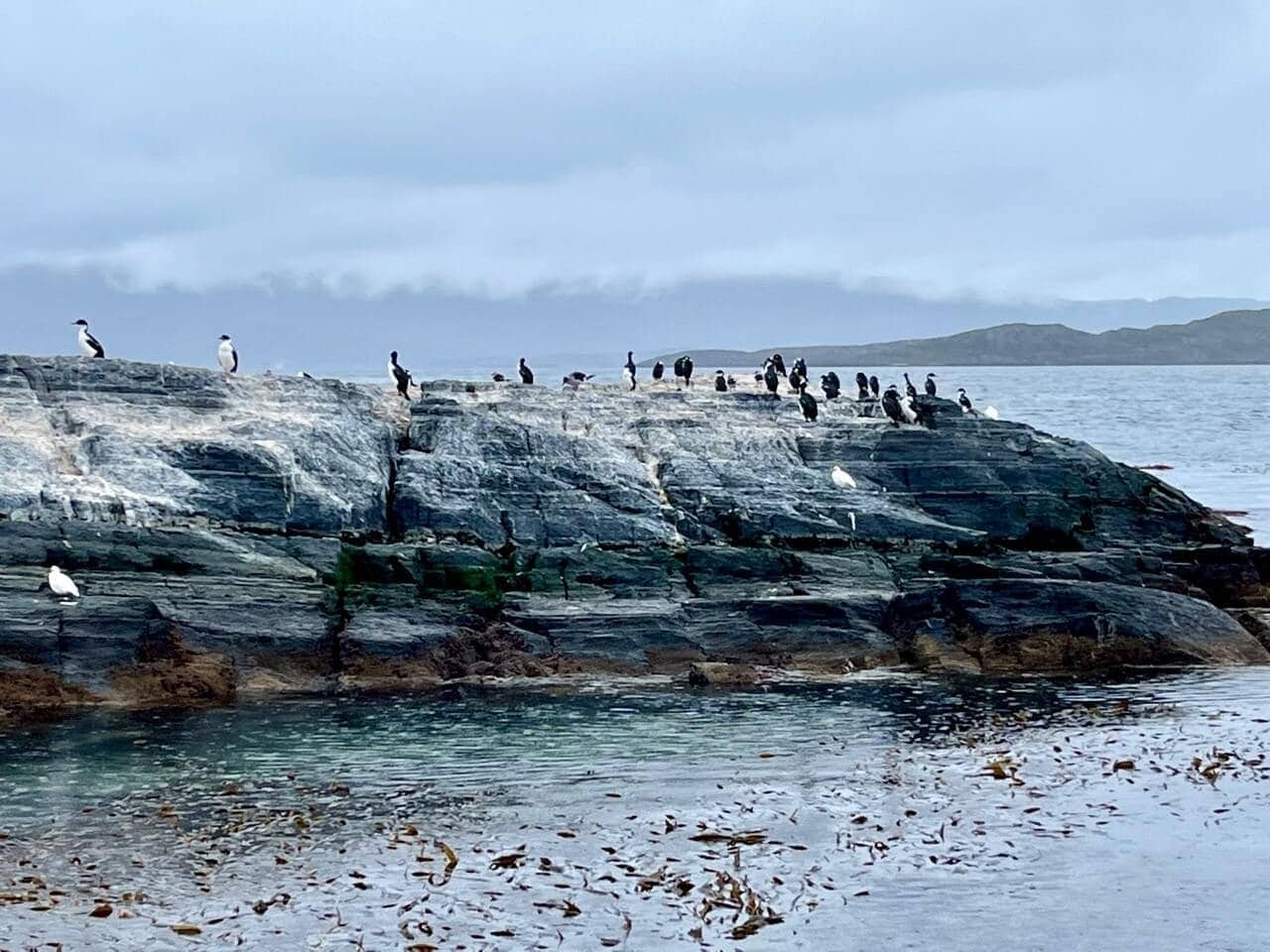 beegle-kanal-ushuaia-reiseblog