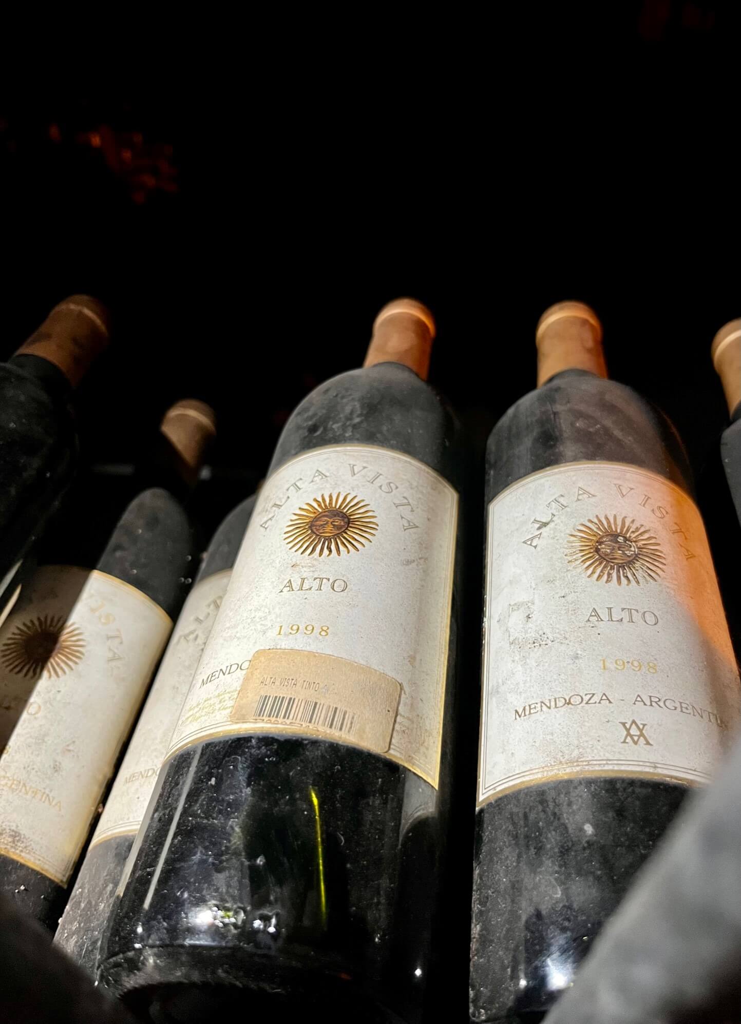 mendoza-wein-region-reiseblog