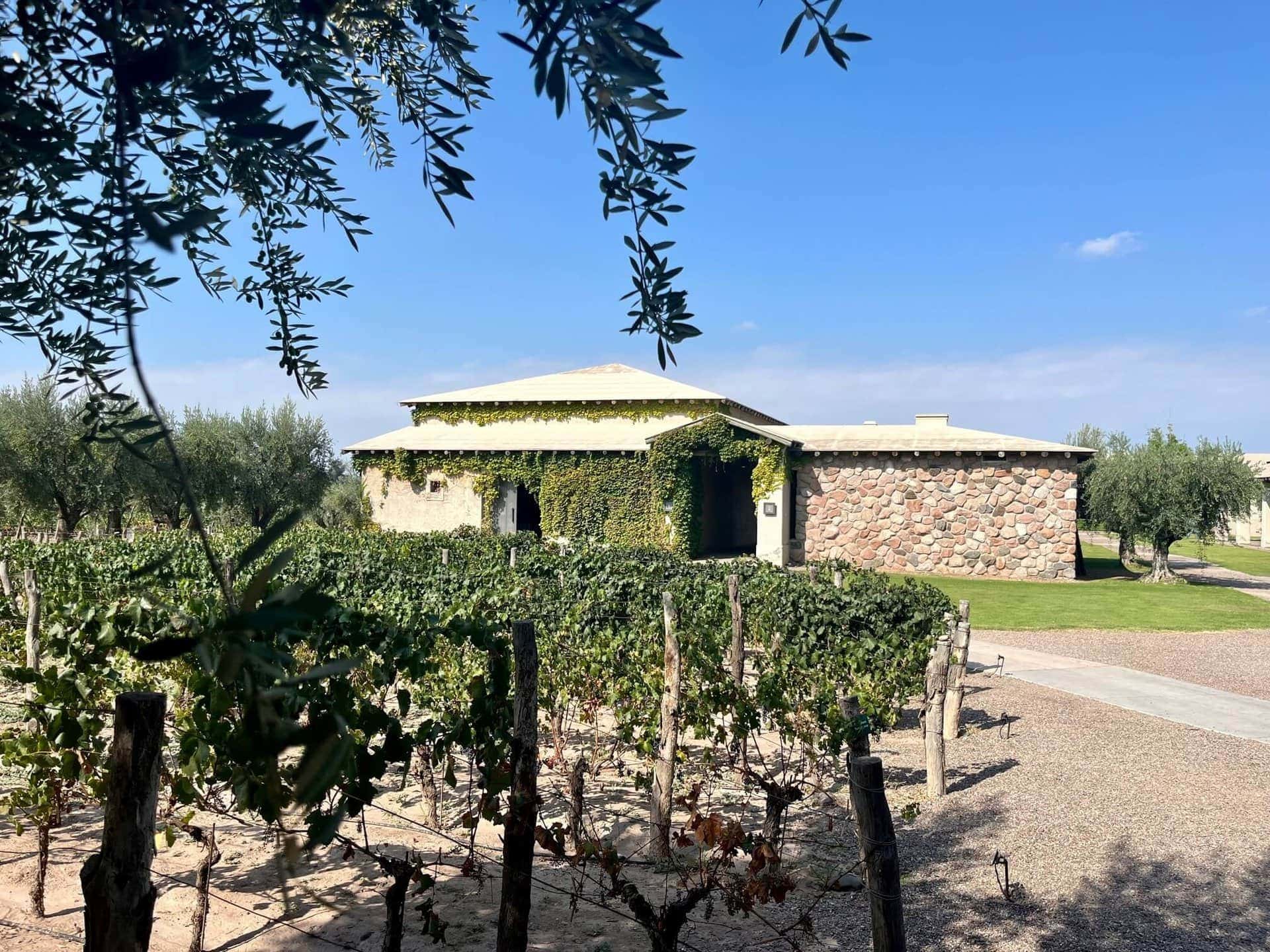 argentinien-wein-urlaub-mendoza