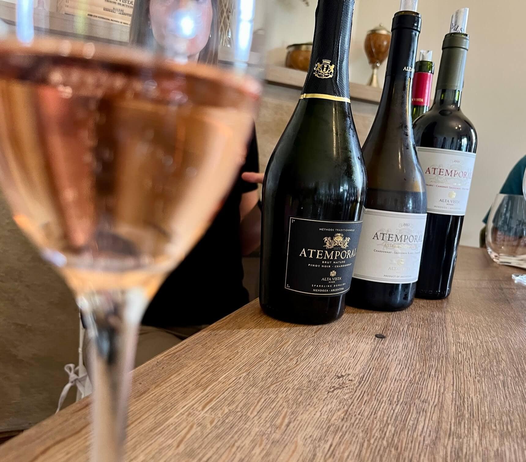 mendoza-weinreise-reiseblog-region