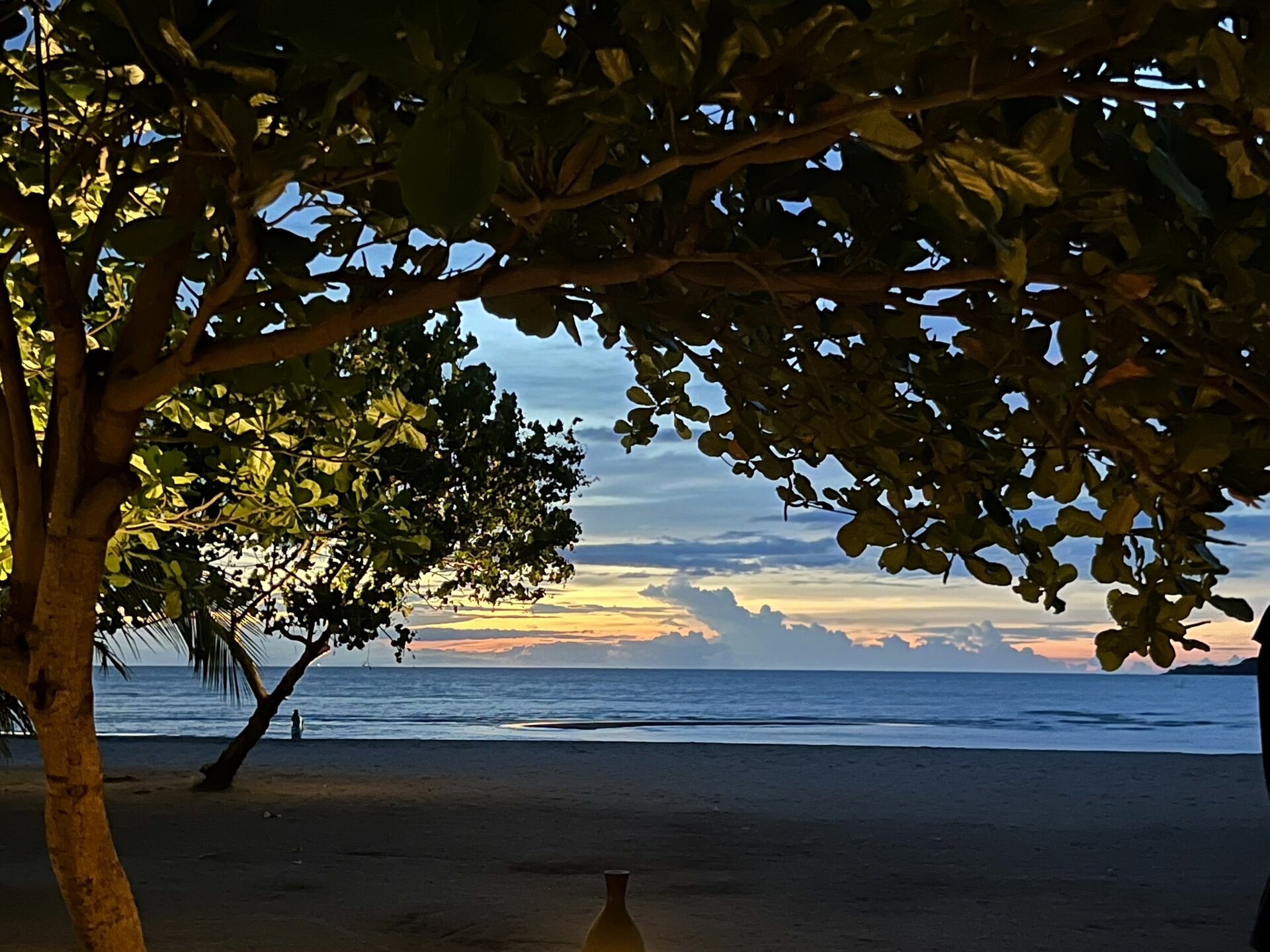 reiseblog-indonesien-flores-komodo-inseln-urlaub-sonne-palmen-strand-baumdach-reise