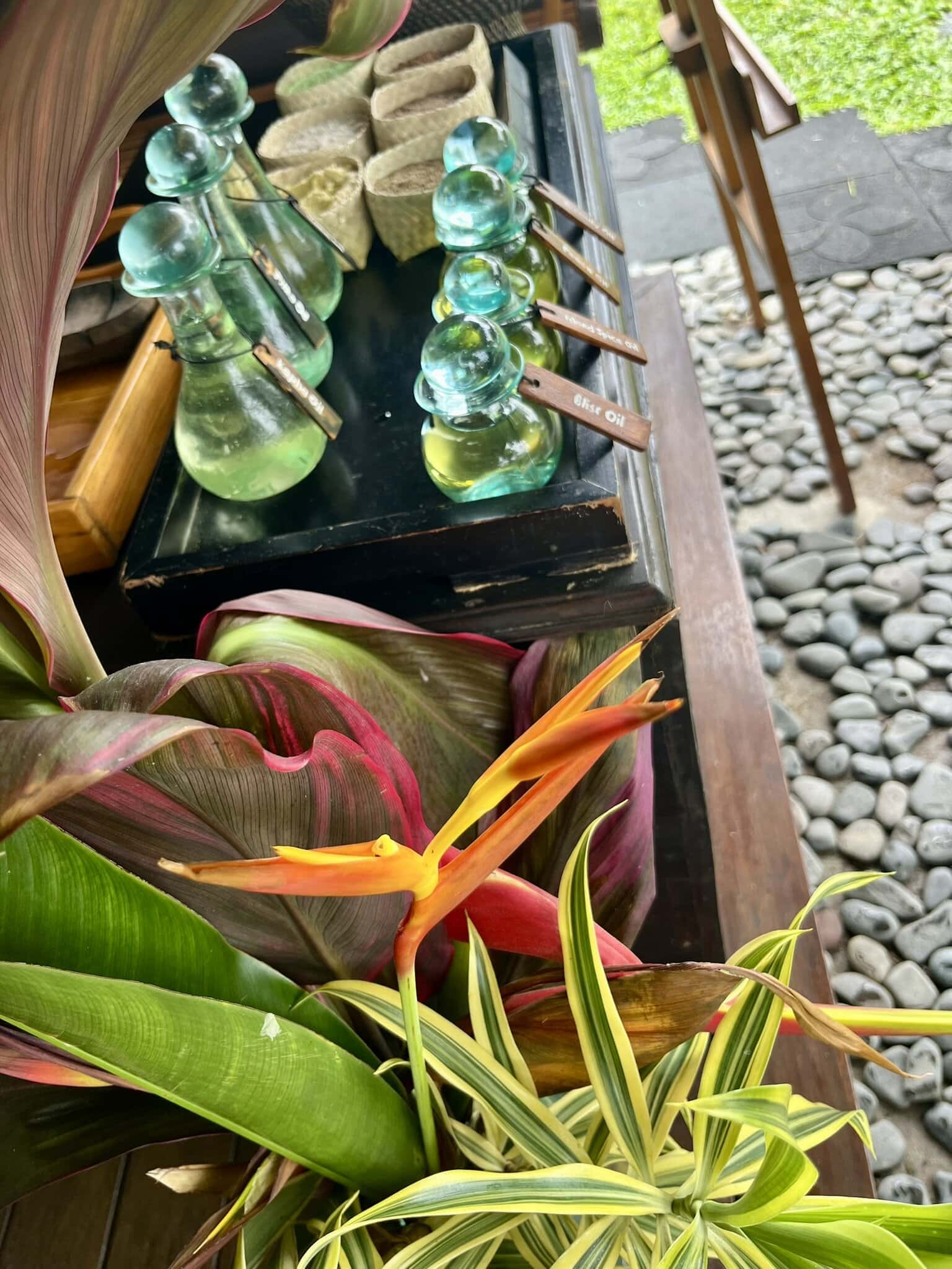 reiseblog-indonesien-flores-komodo-inseln-urlaub-sonne-palmen-strand-pflanzendekoration-reise