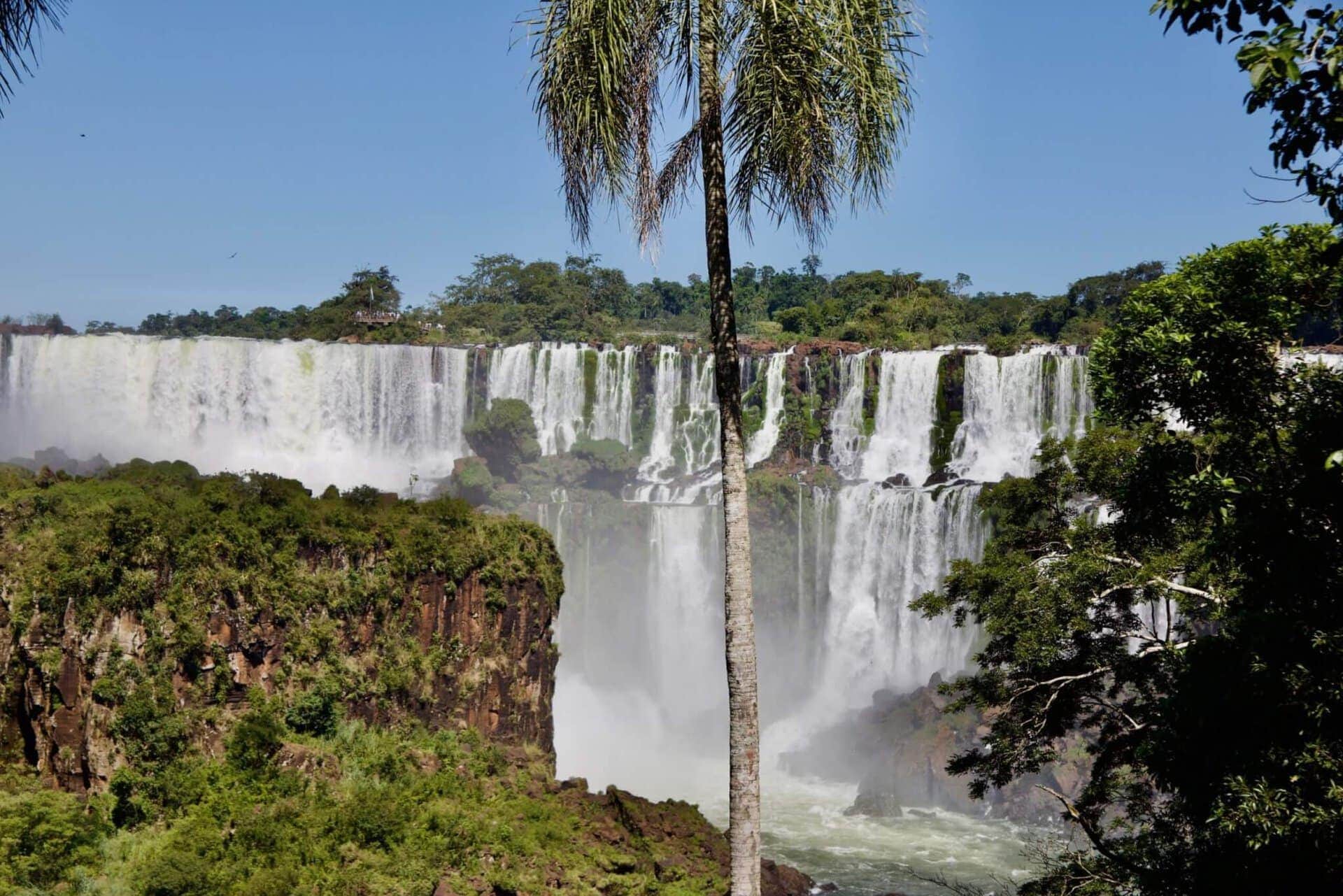 amazonas-regenwald-urlaub-reise-iguazu-palme-reisekombination-peru-brasilien