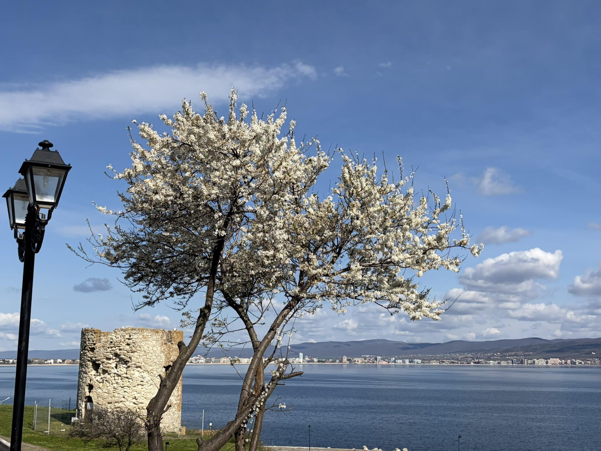 individuell-weißer-blütenzauber-balkan-türkei-griechenland-roadtrip-europa