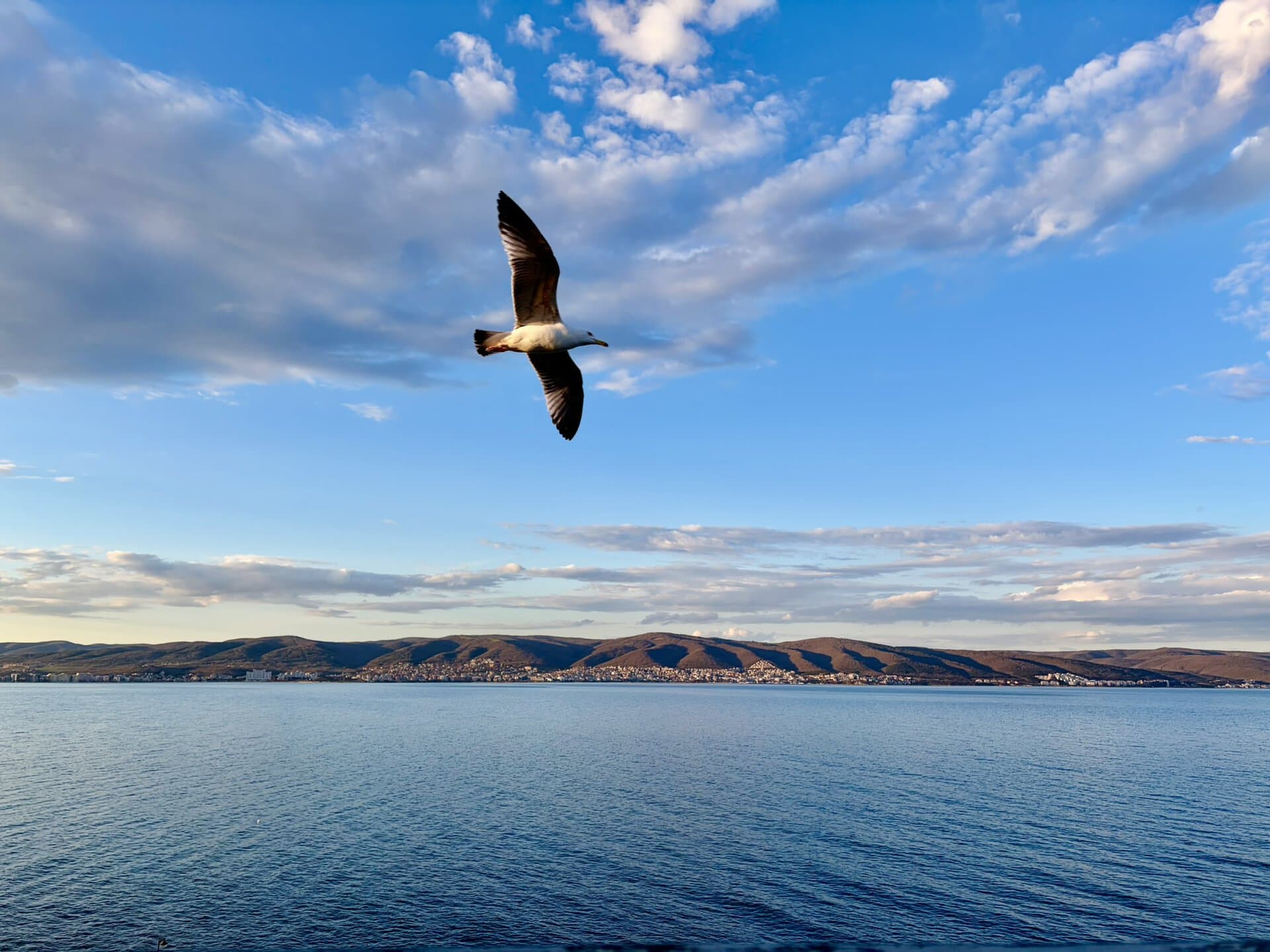 fliegende-möwe-roadtrip-europa-balkan-türkei-individuell-griechenland
