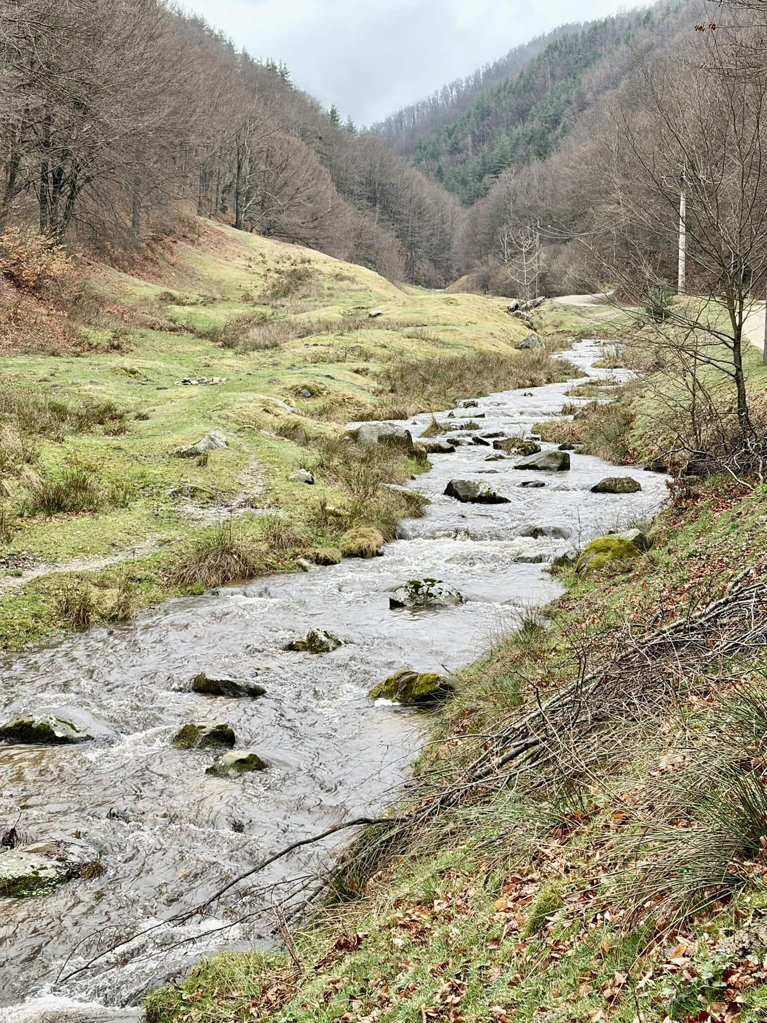 grüne-landschaft-europa-fluss-roadtrip-individuell-osteuropa-wandern