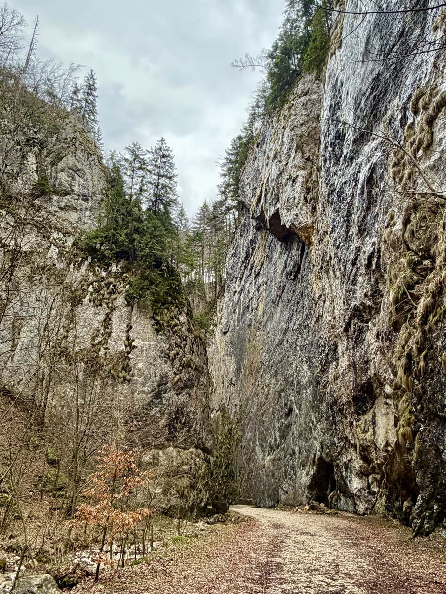 beeindruckende-europa-roadtrip-individuell-osteuropa-felsen