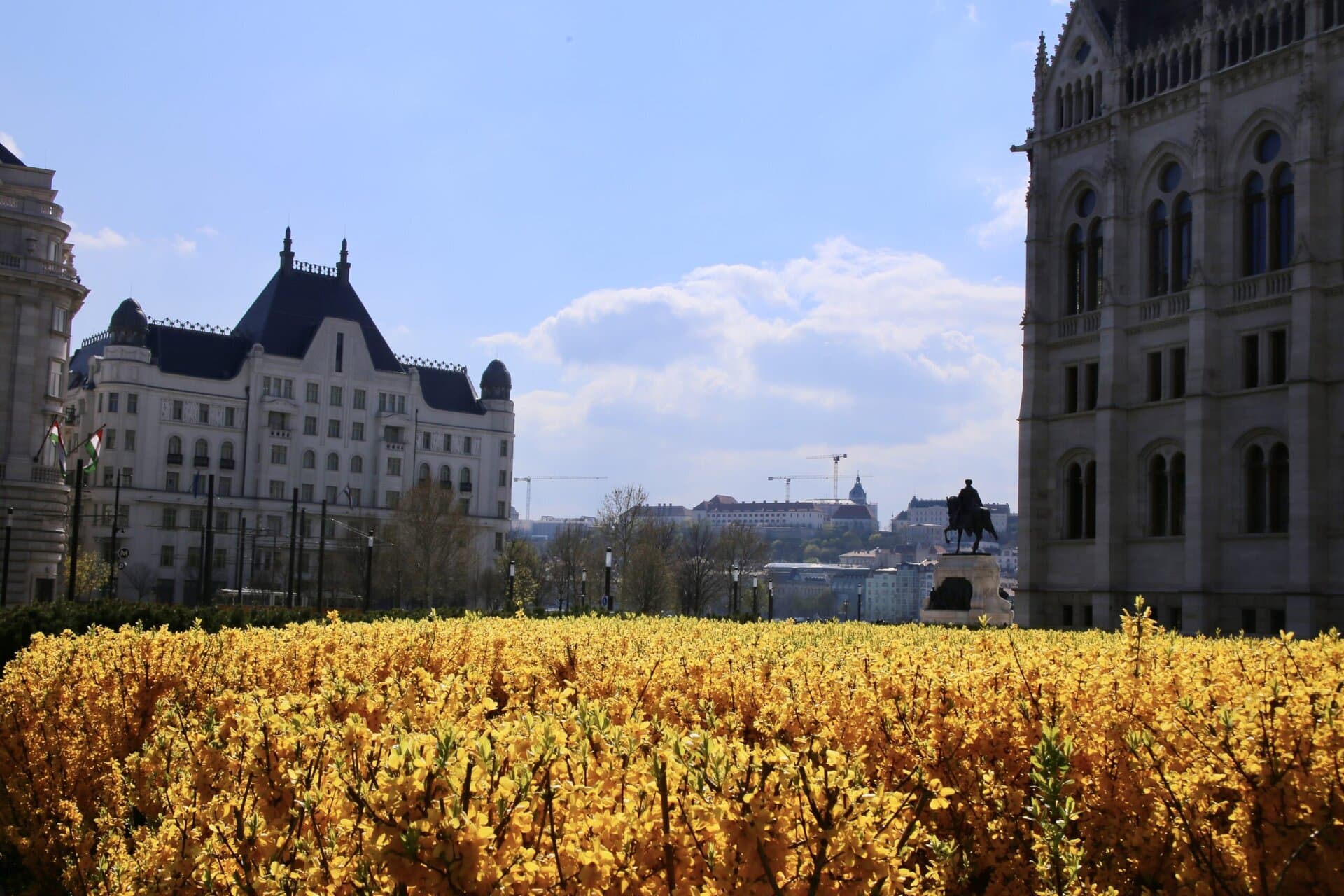 europa-pflanzenmeer-tschechien-ungarn-roadtrip-individuell-osteuropa
