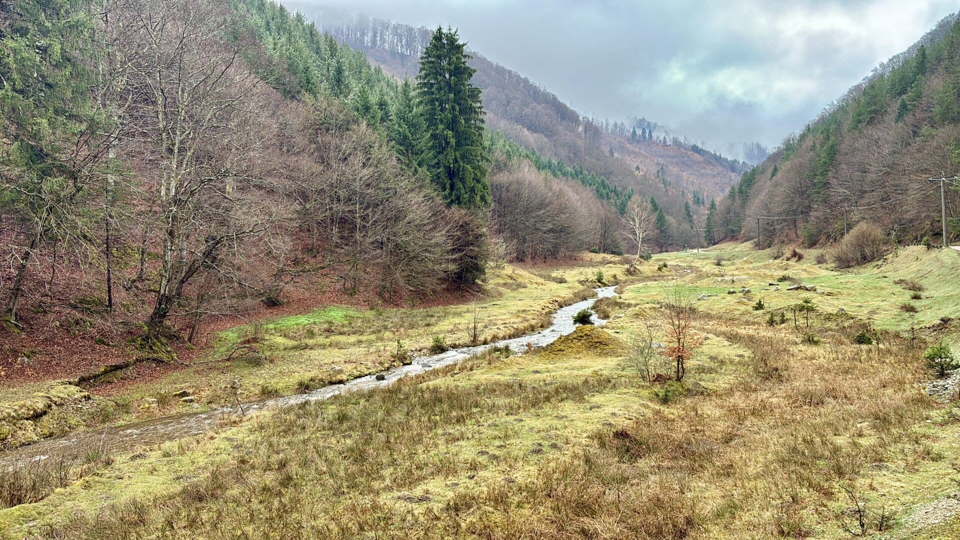 wiesen-europa-roadtrip-täler-individuell-osteuropa-rumänien