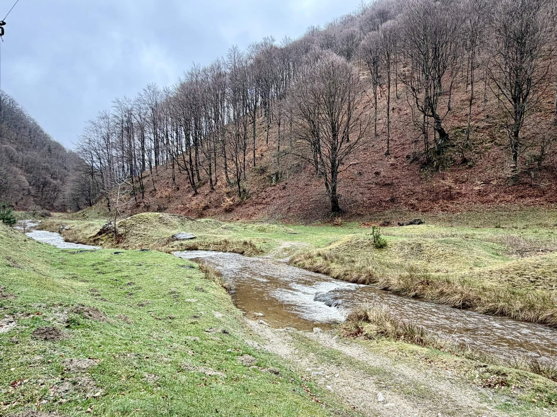 bach-im-tal-europa-roadtrip-individuell-osteuropa-rumänien