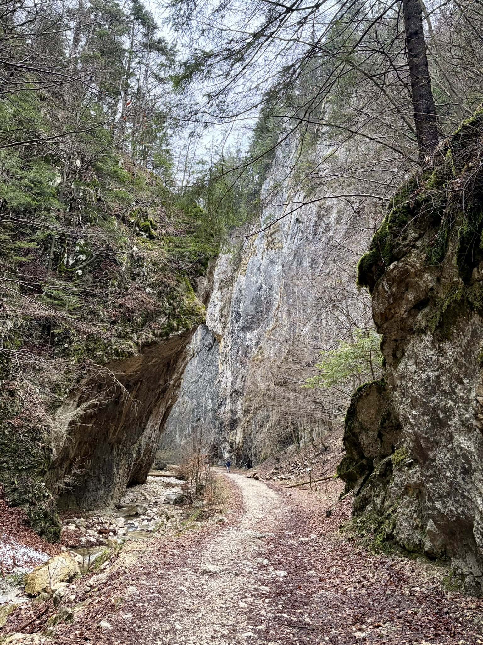 weg-durch-felsen-europa-rumänien-roadtrip-individuell-osteuropa-wanderung