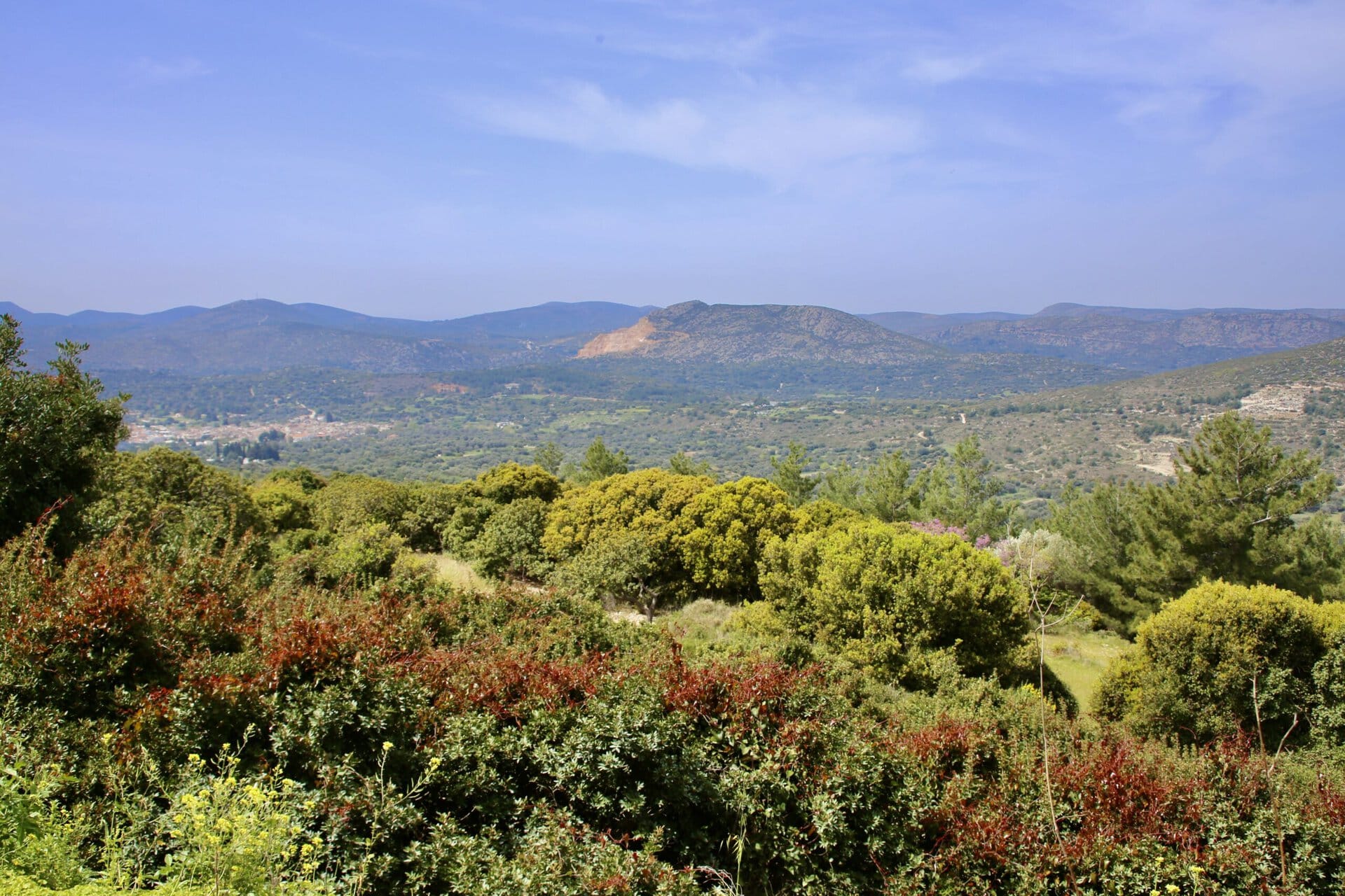 griechenland-wunderschöne-vegetation-roadtrip-europa-balkan-türkei-individuell