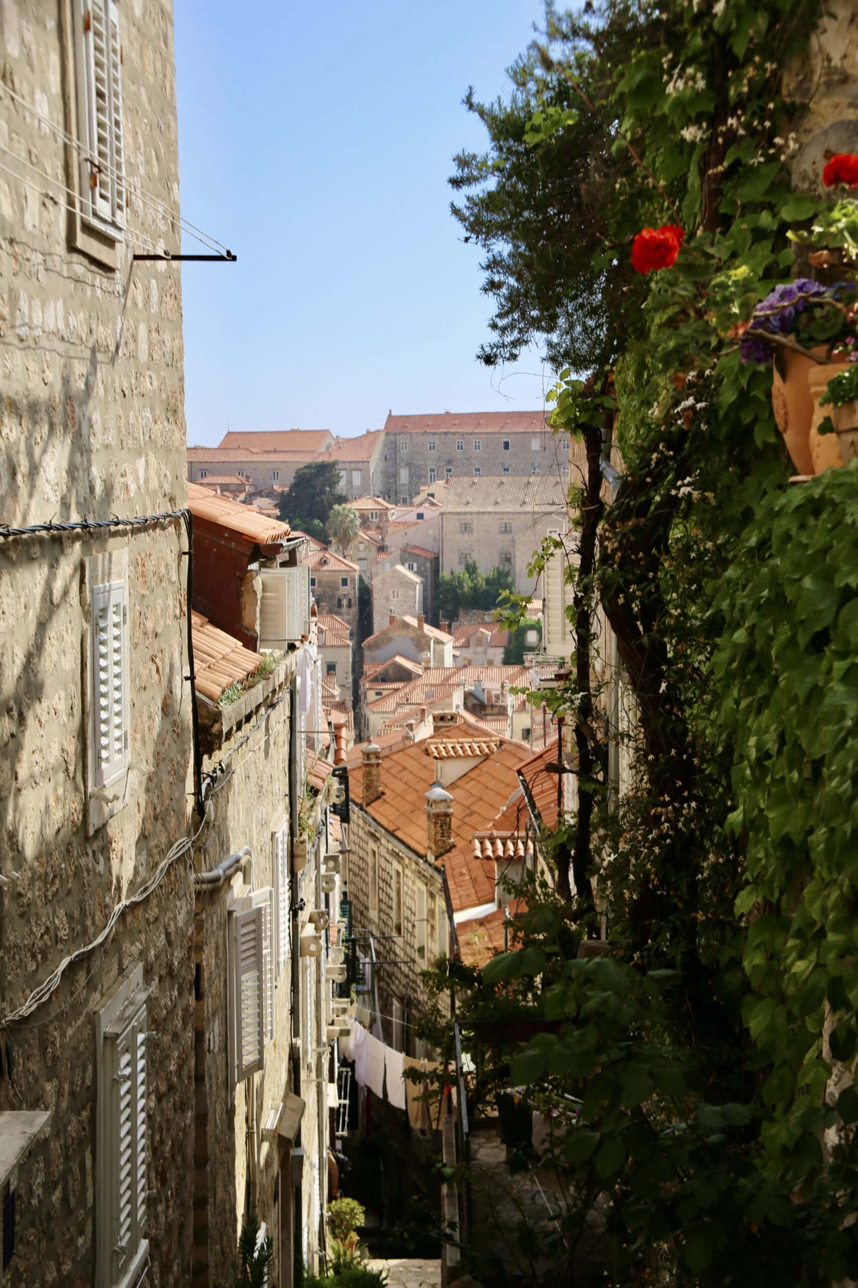 dächer-europa-roadtrip-balkan-altstadt-küstenroute